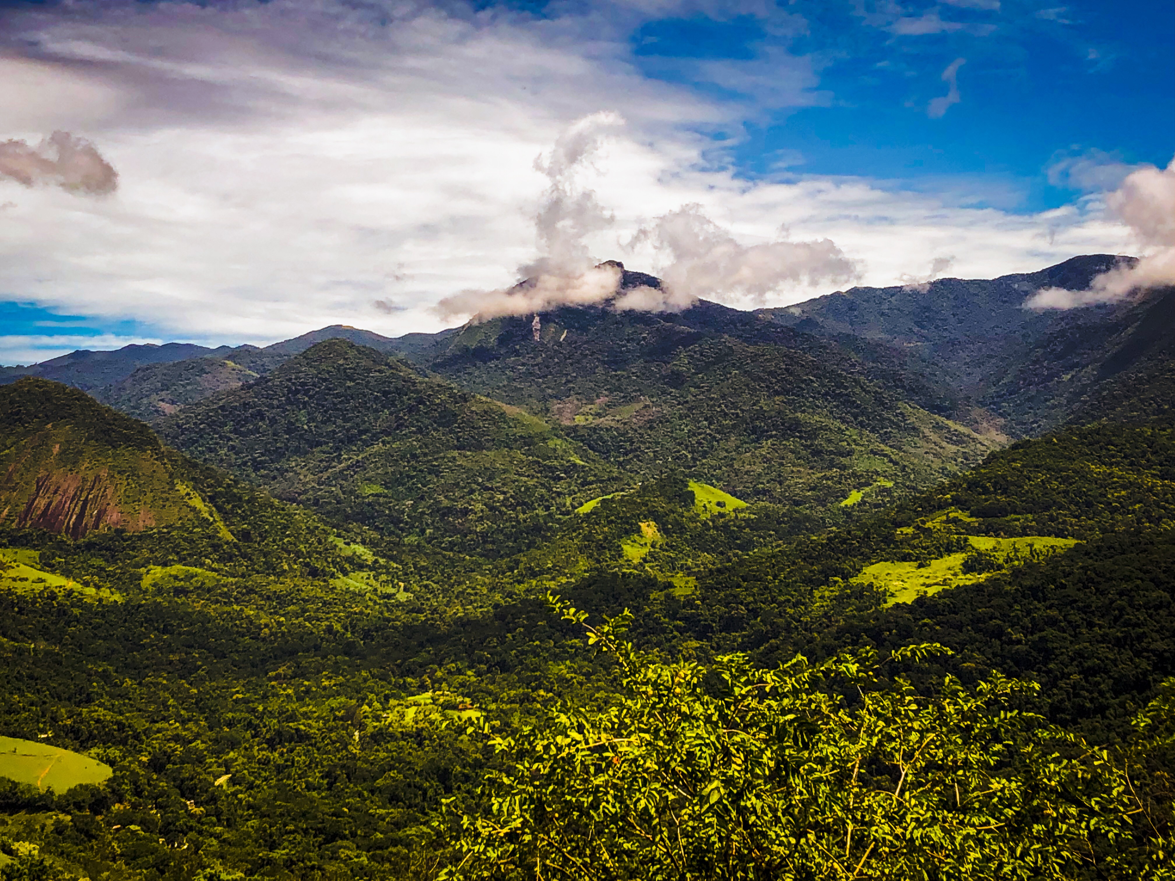 249EC397-E3E2-451A-AF0F-5918806AB169