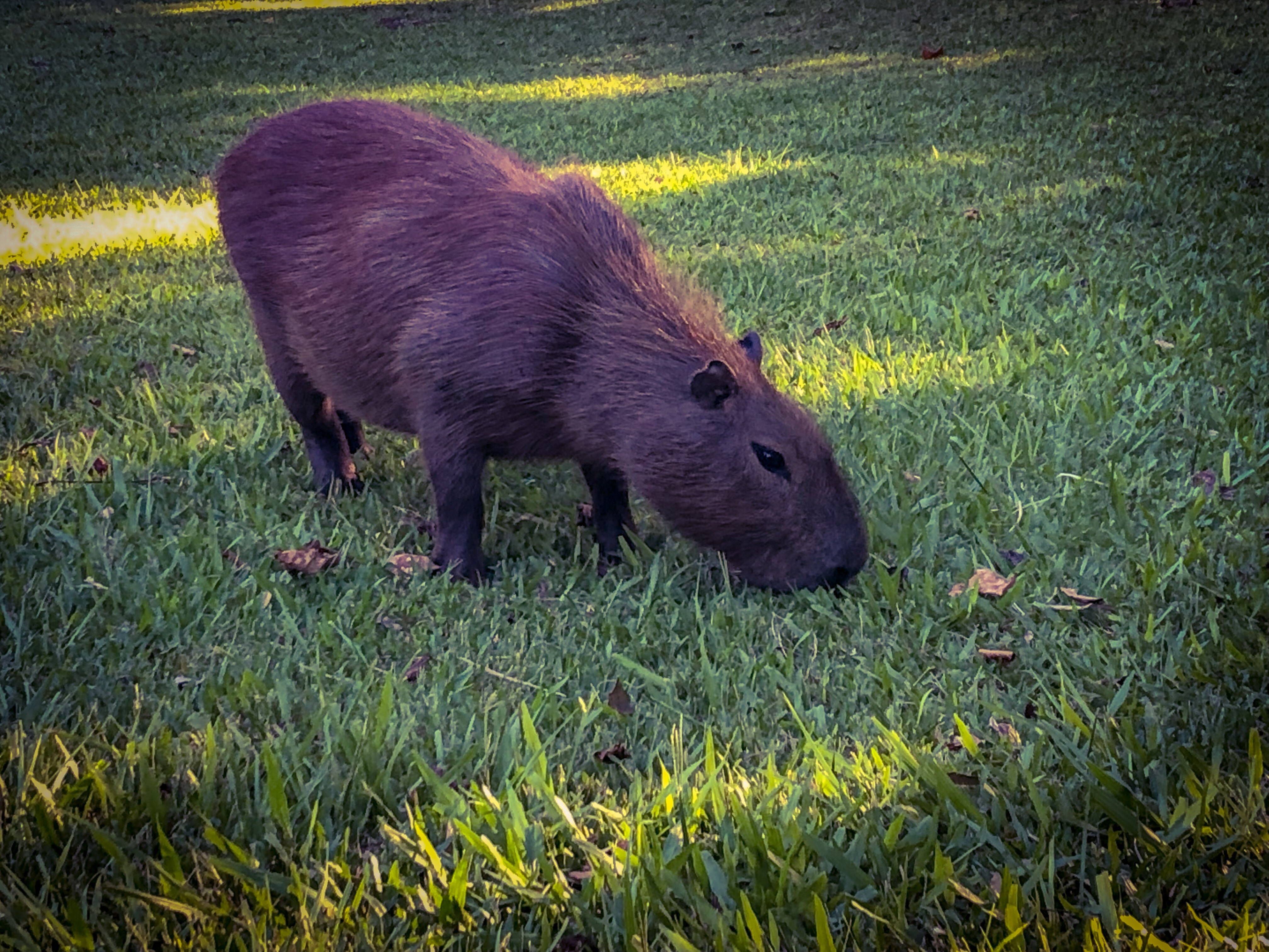 34EFA2DD-22C3-4530-817B-EC0BB326E15A