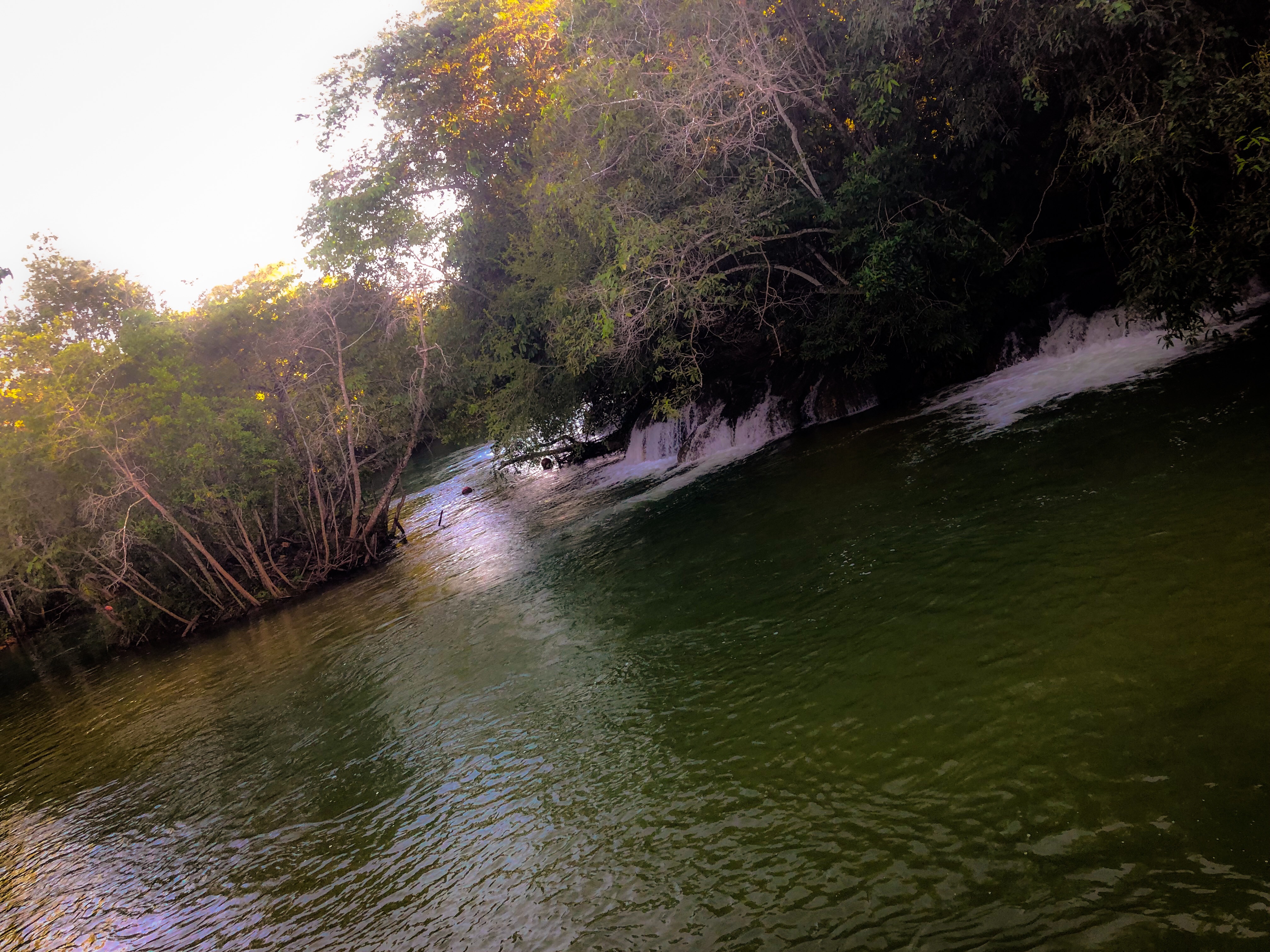 381ED2CB-C43D-41B2-BD99-B844AB89A049