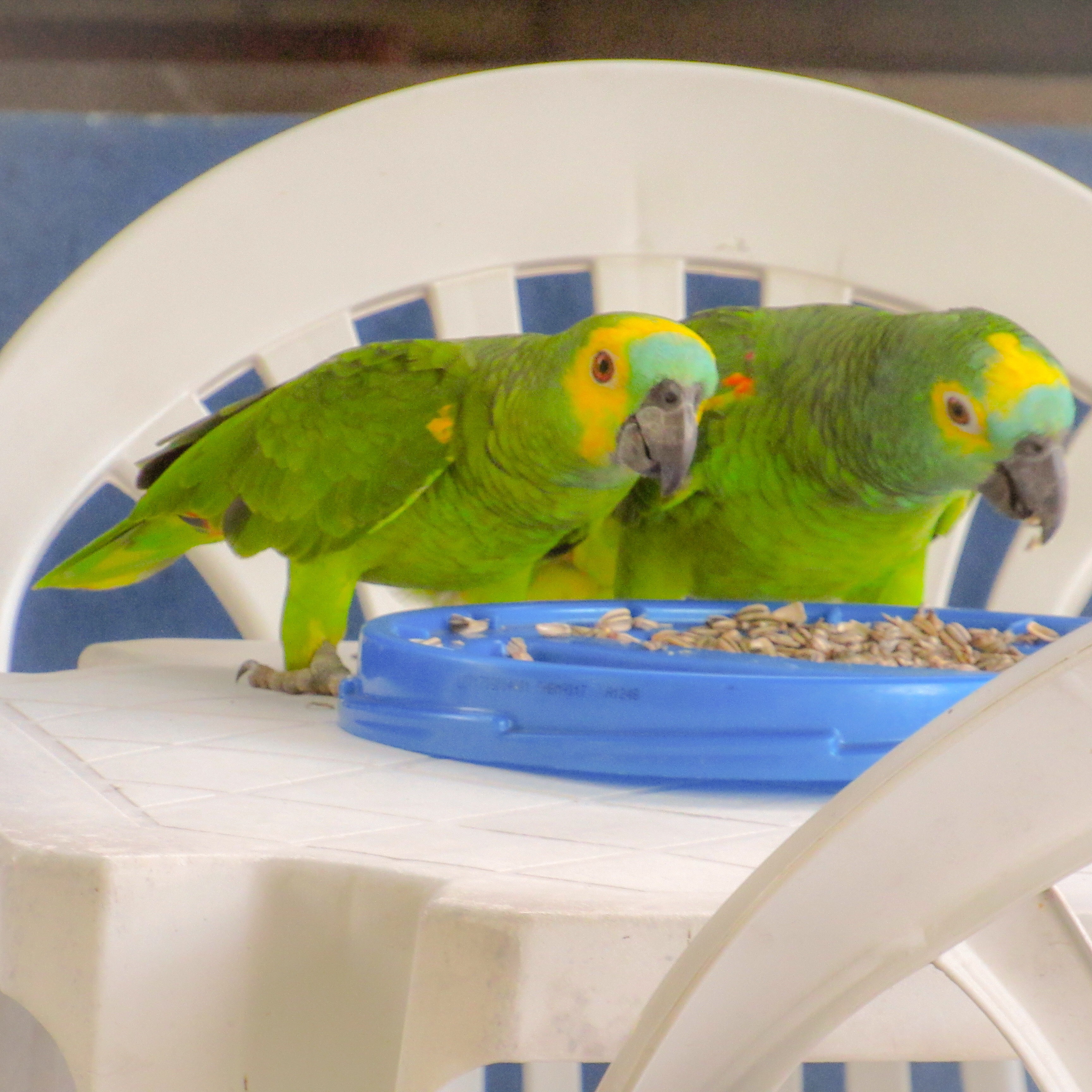 4954F294-AE95-4C15-9706-473EA3AE8FA9