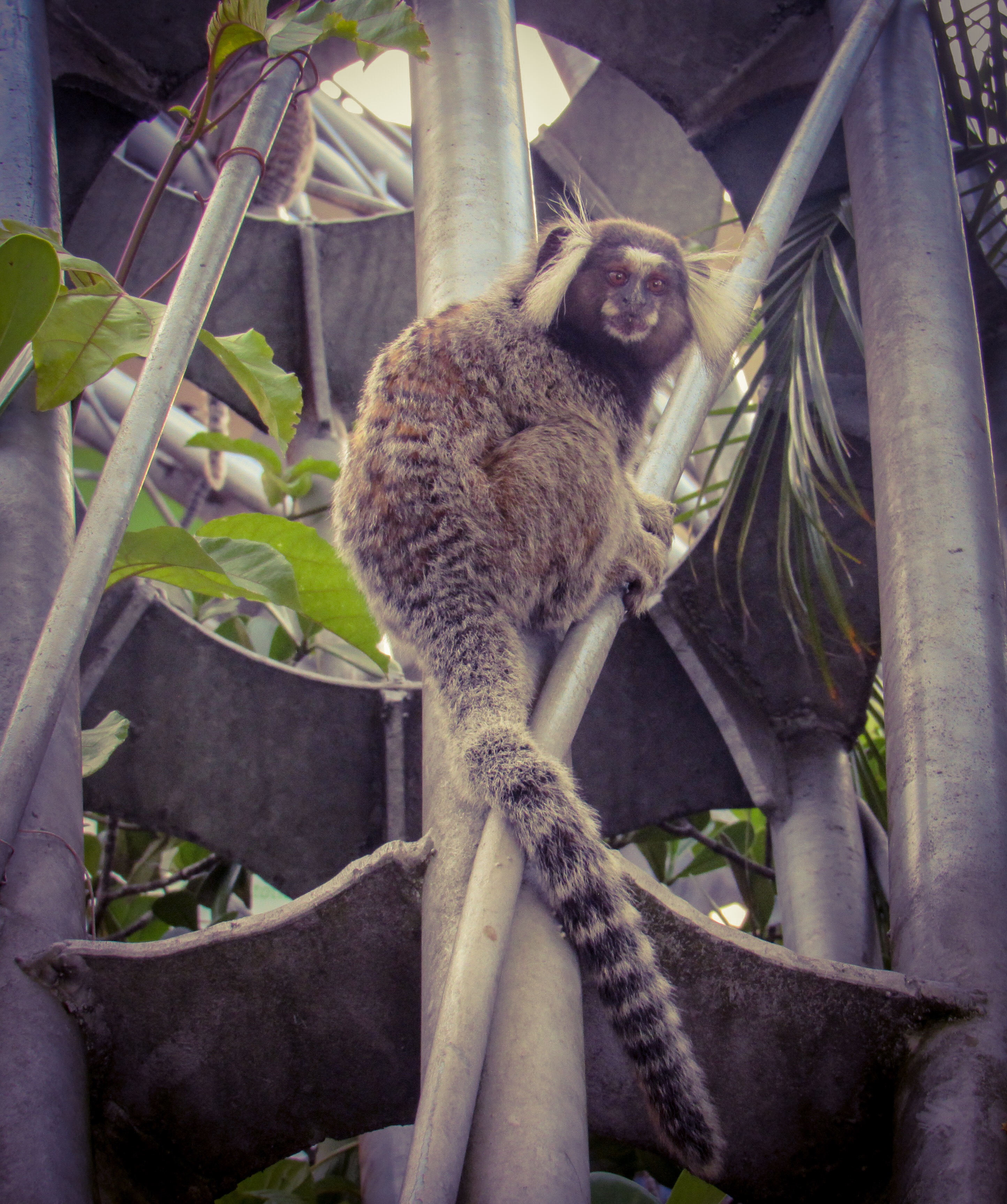 4FC5B5D8-B2B5-4F61-B925-B06A8A557CE9