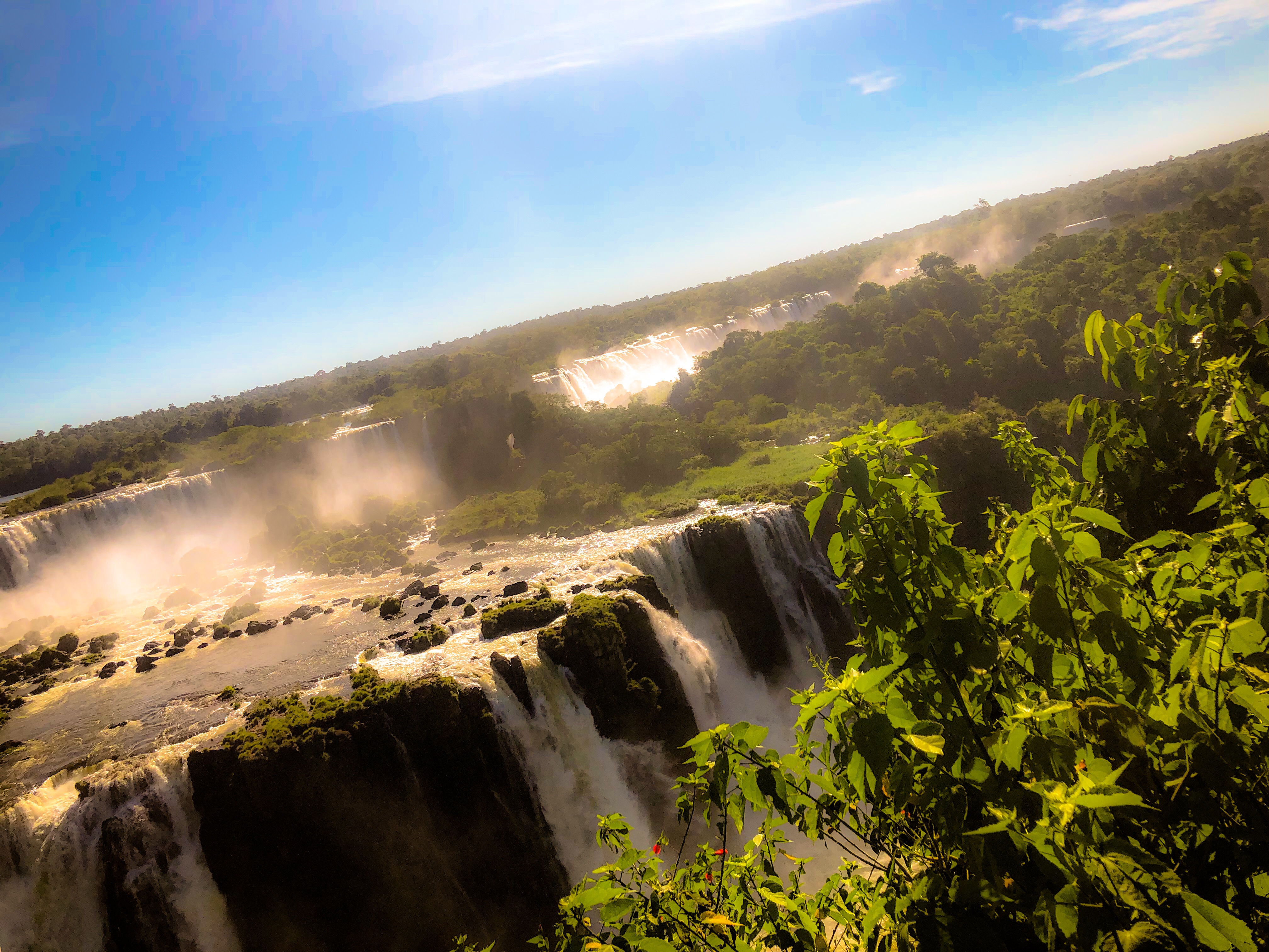 5B9190D8-9826-4F7D-8F9F-B32DEE60DE32