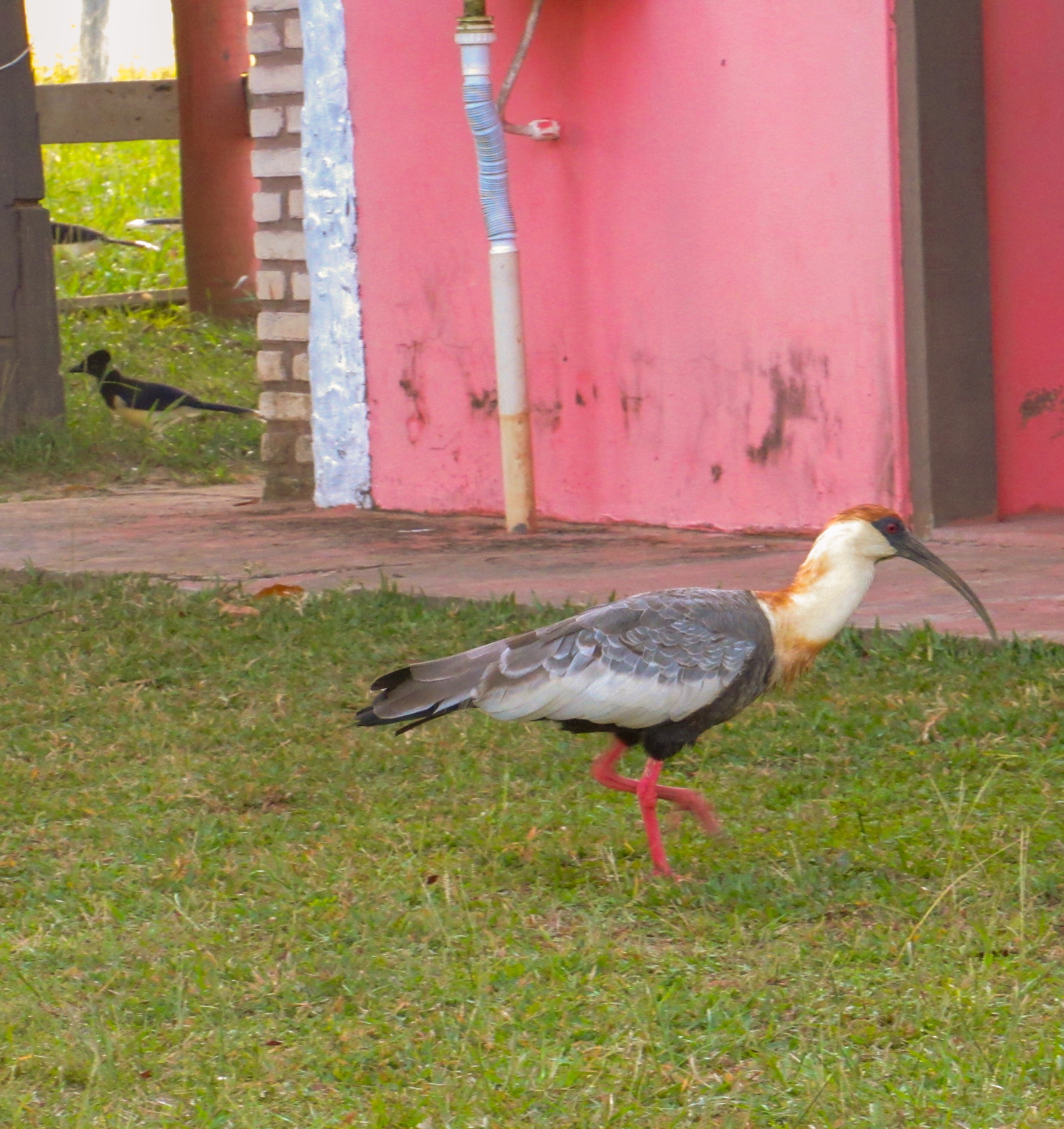 661A64F4-A8CD-40C0-A8F6-426C37A4B892