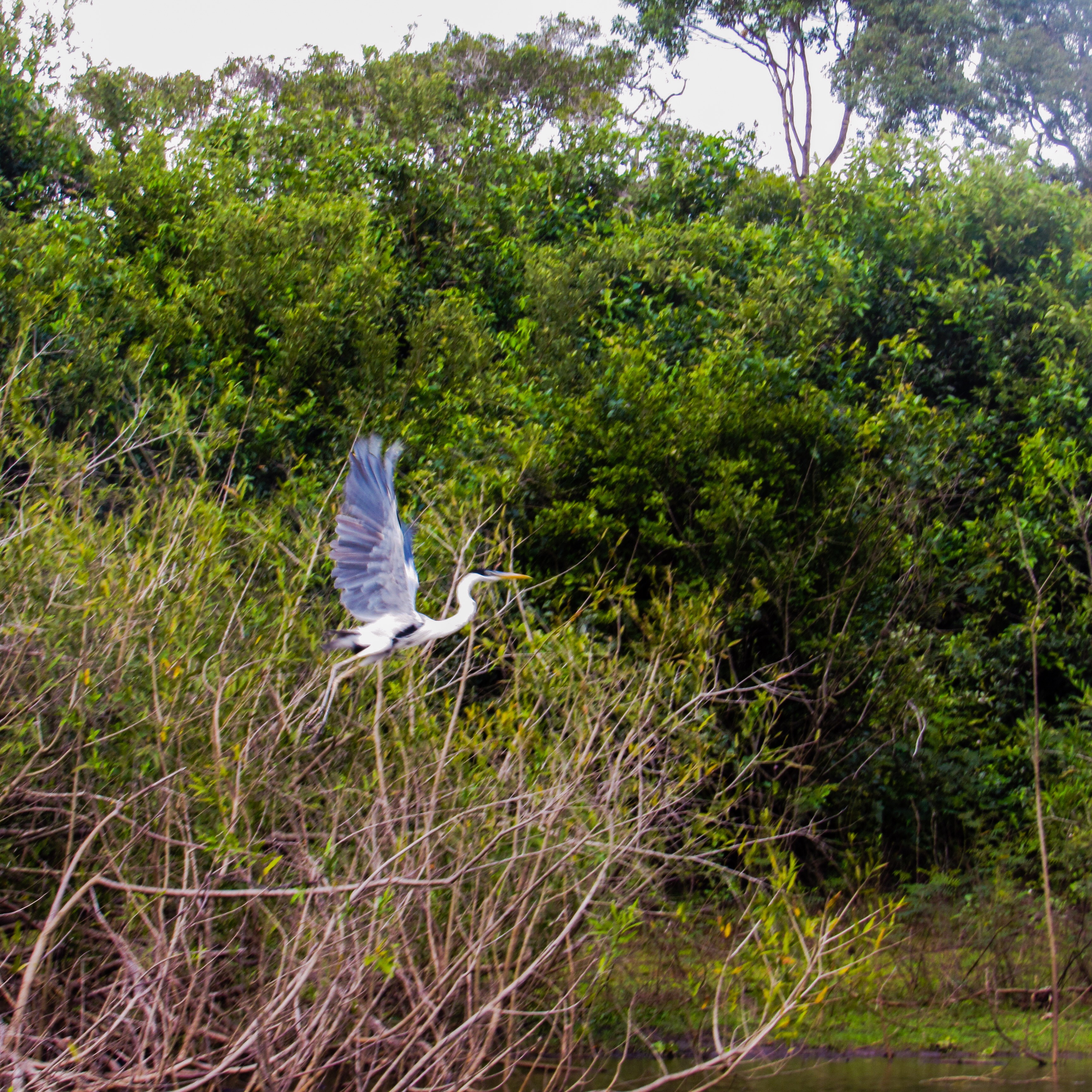 68697775-DC07-4AB0-9FEE-16762FAF0CBD