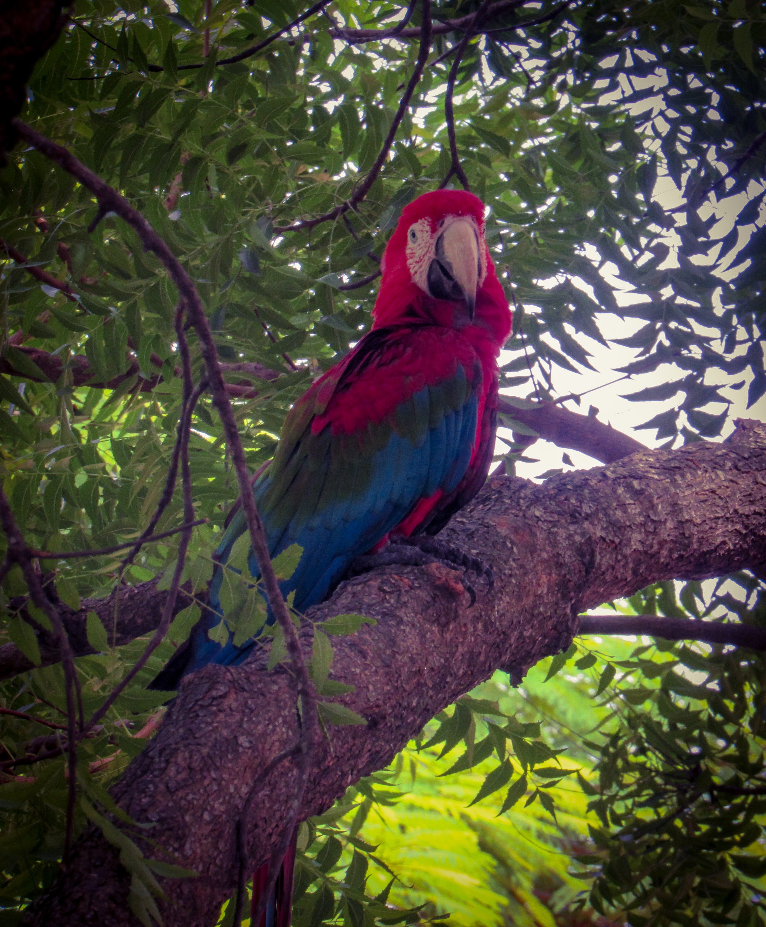 749E67D1-C3A5-4A60-A3A9-E57415823A03