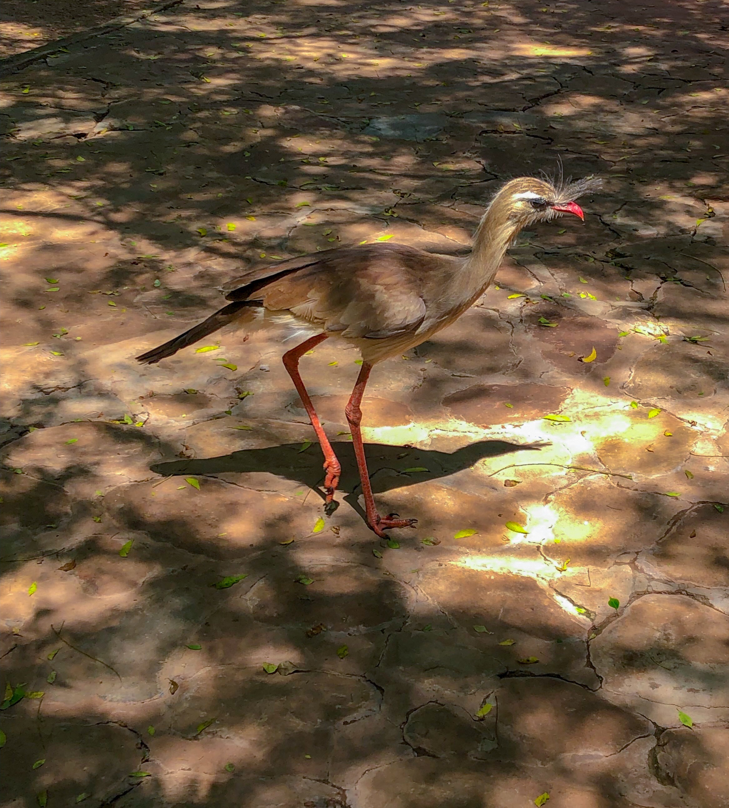 7A6F03B3-2DA6-48F3-855F-3EB1C503DB9E