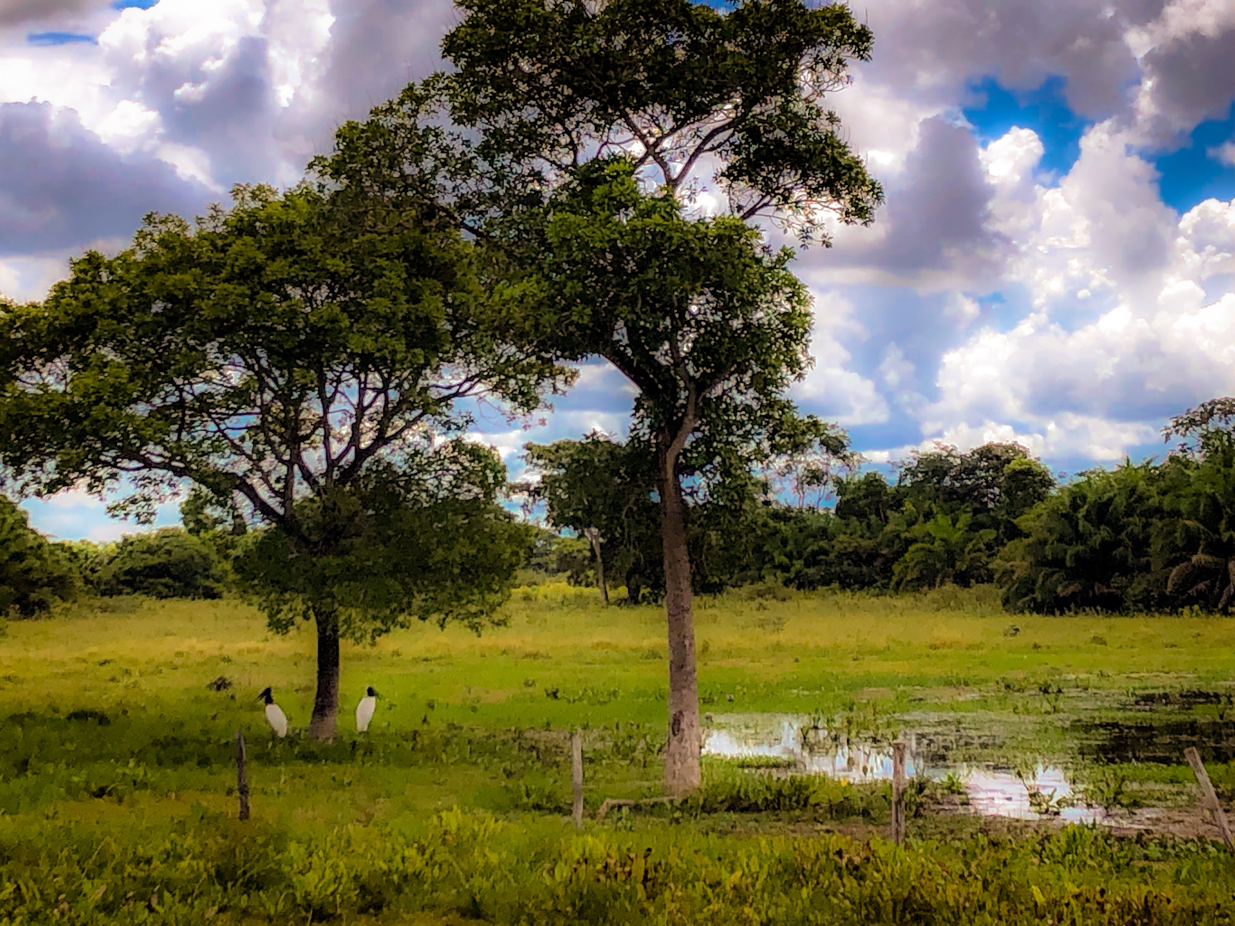 7B9FA5D5-8D0E-4F02-BDB3-986B93DCC616