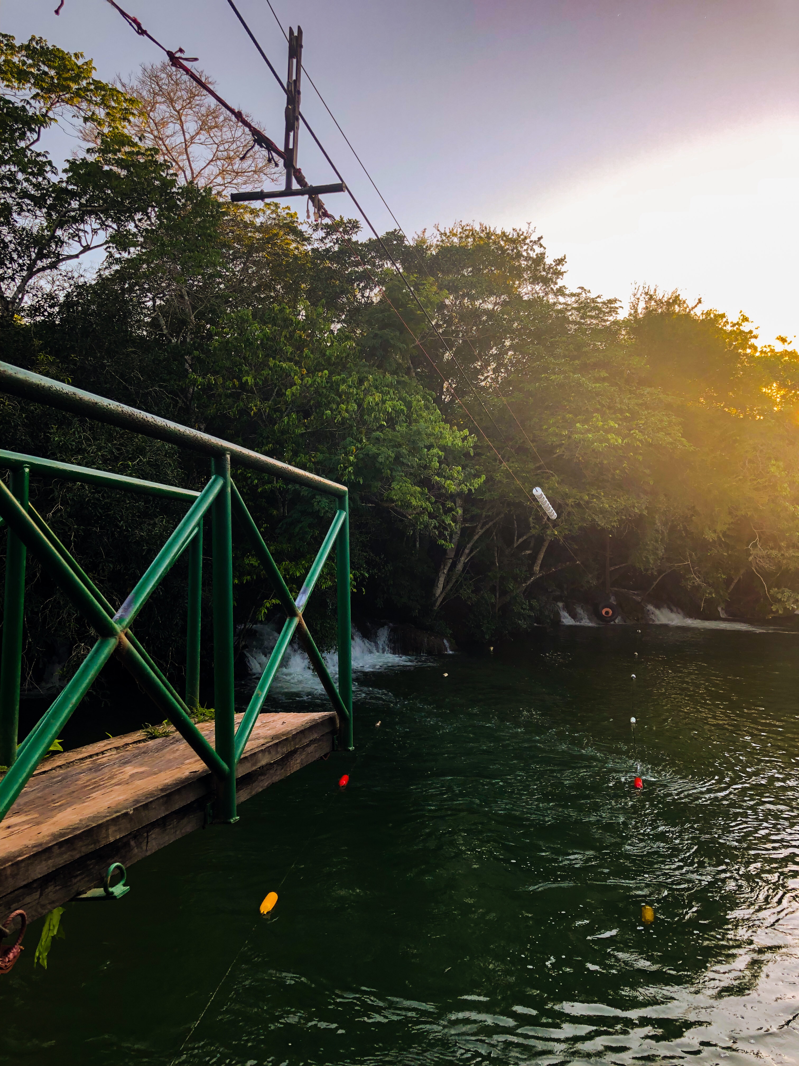 81842006-5142-49C0-B889-86C01D29D8FB