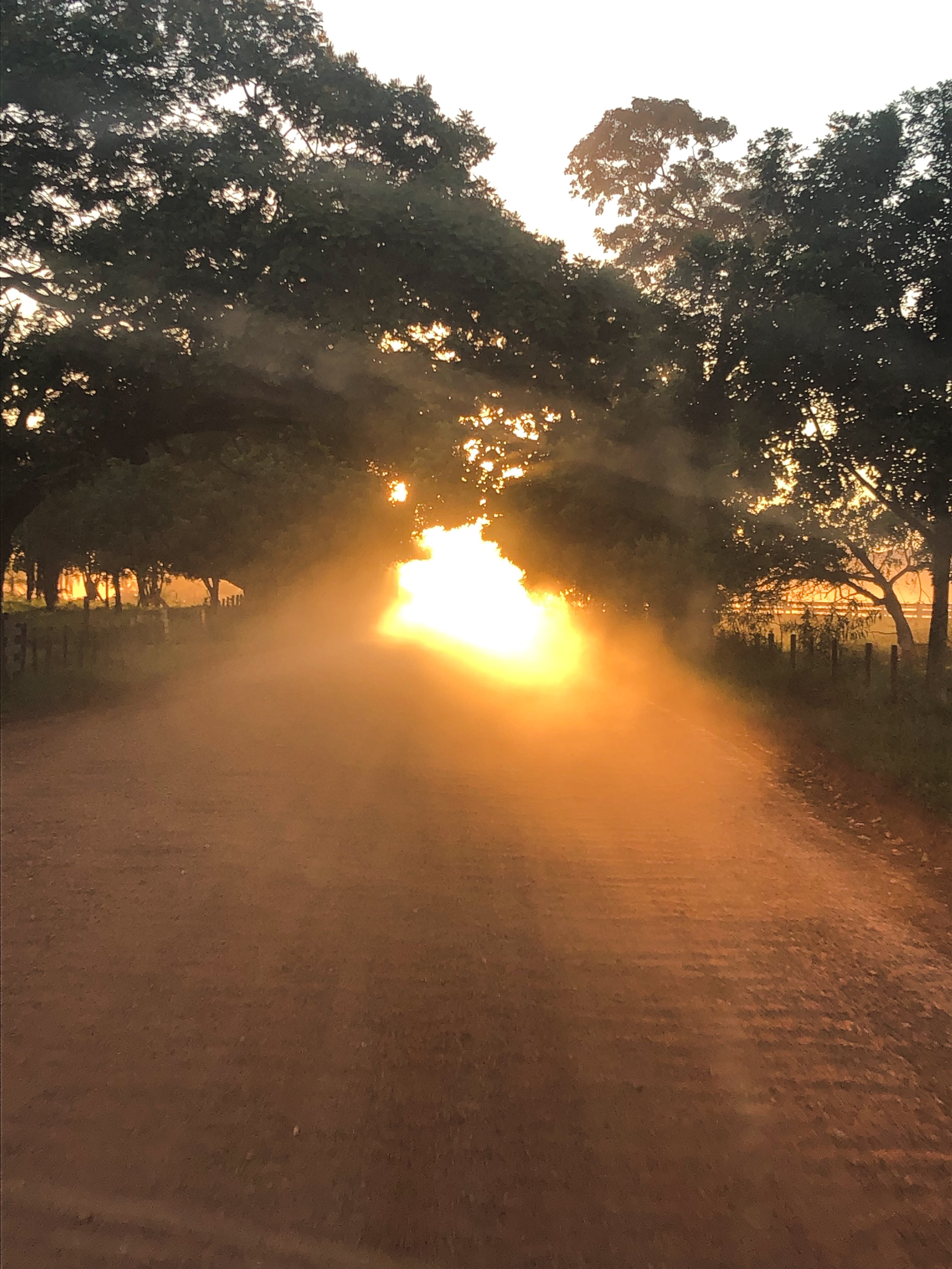 86EF931D-BD49-4F82-A7DA-578E1CBDE239