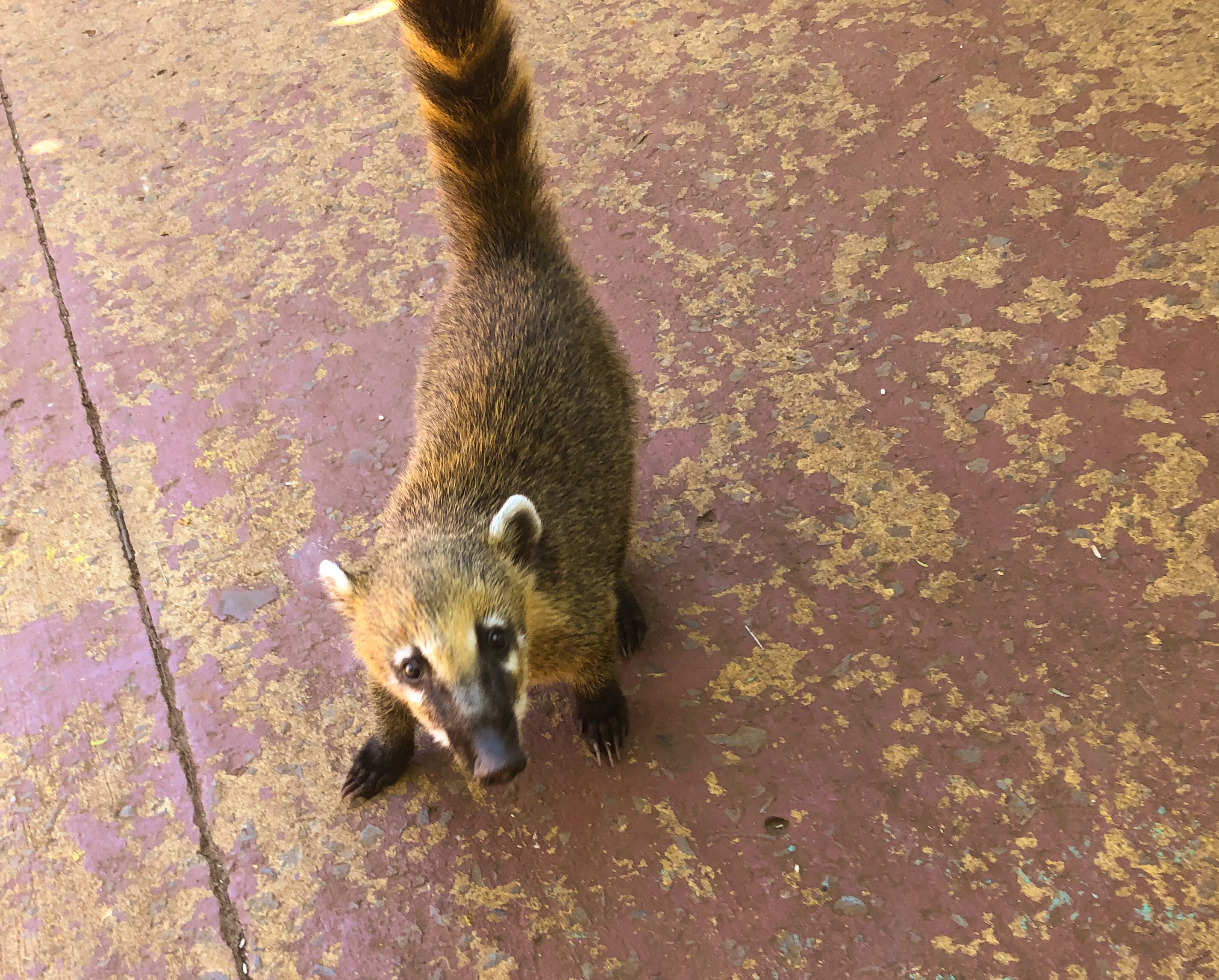 9AB2243B-9377-4444-B16B-274D4953D484