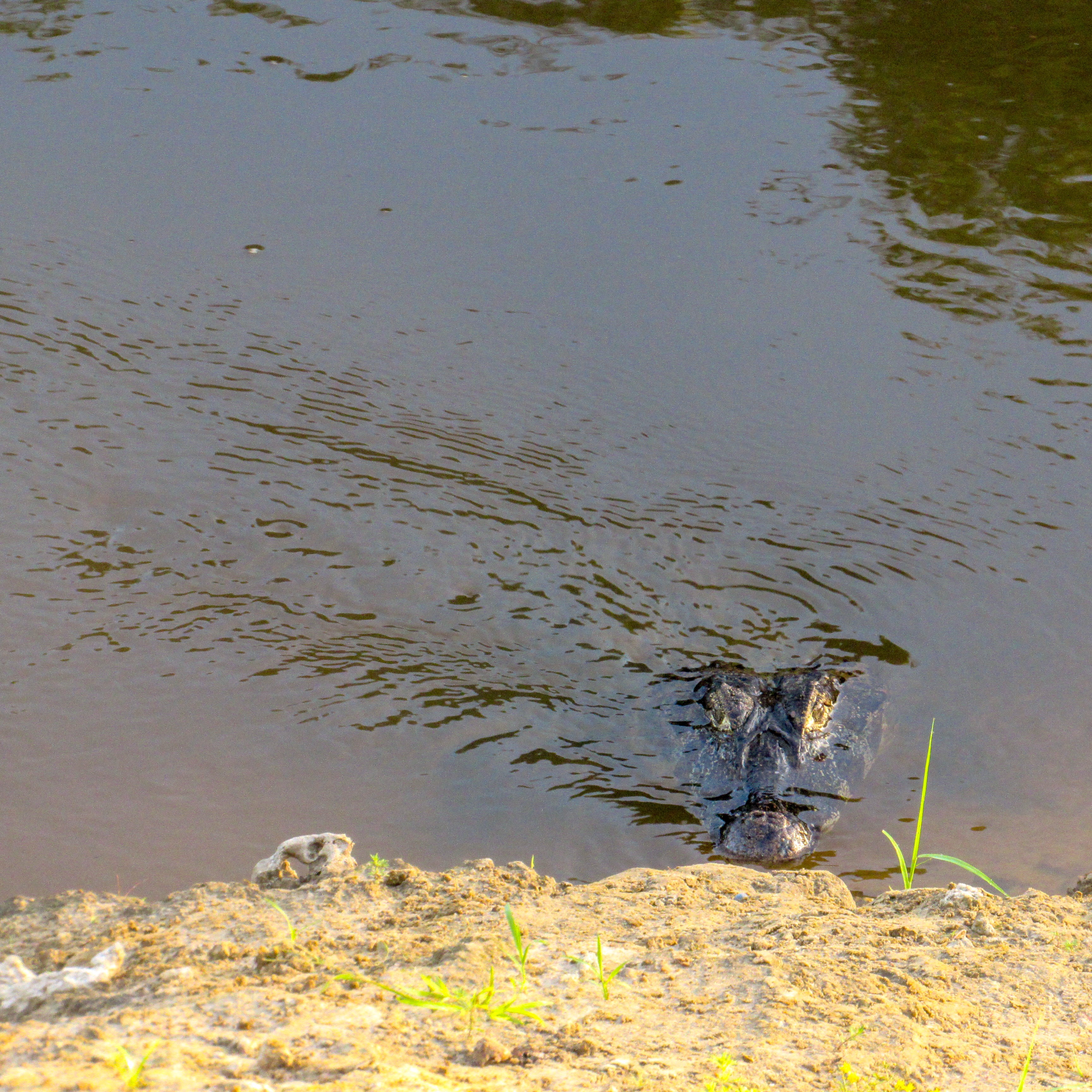 AA925E54-B2F1-4CC6-8A15-7B6C2EB2A9D2