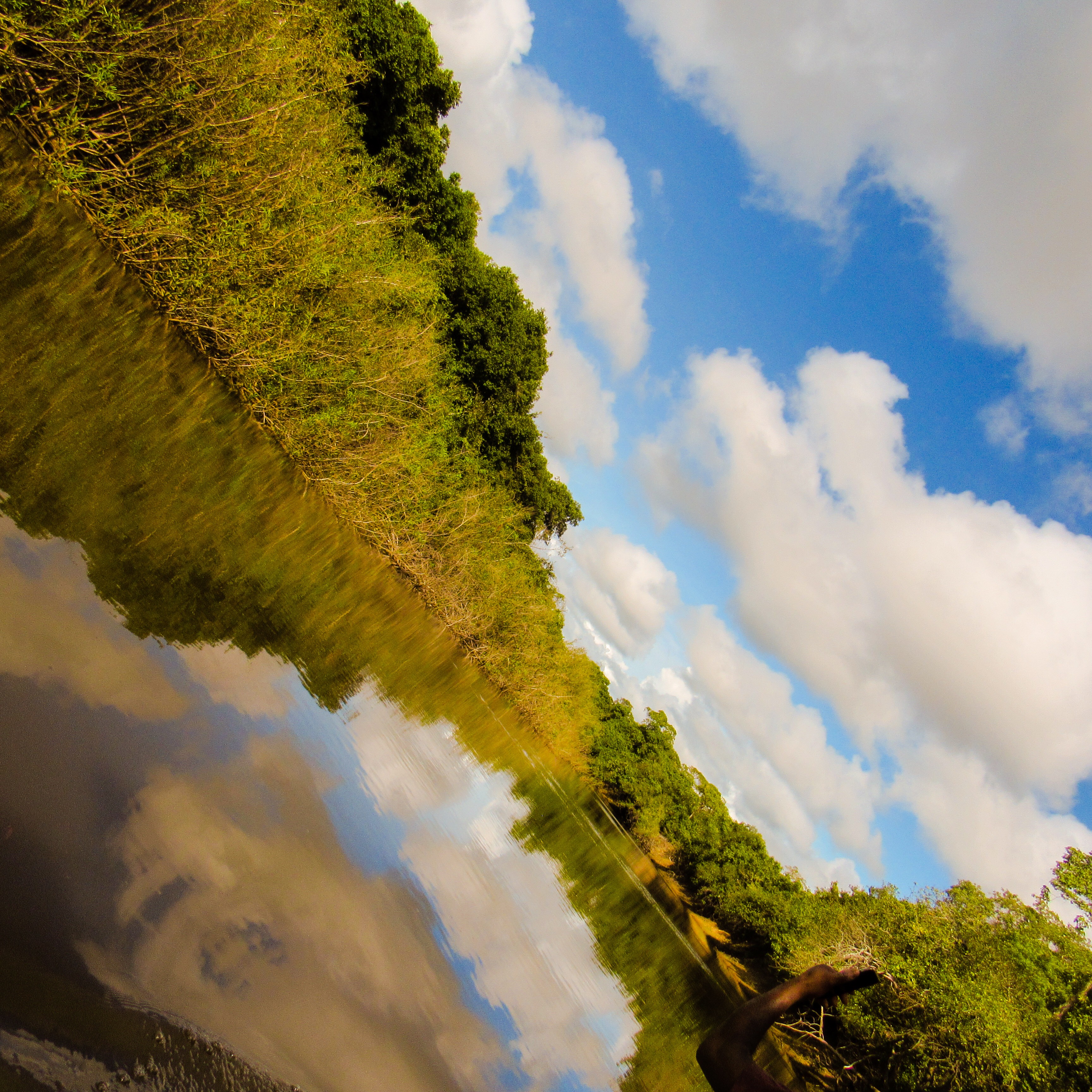 AF0ADE75-041D-48CF-BD99-5062CD453557