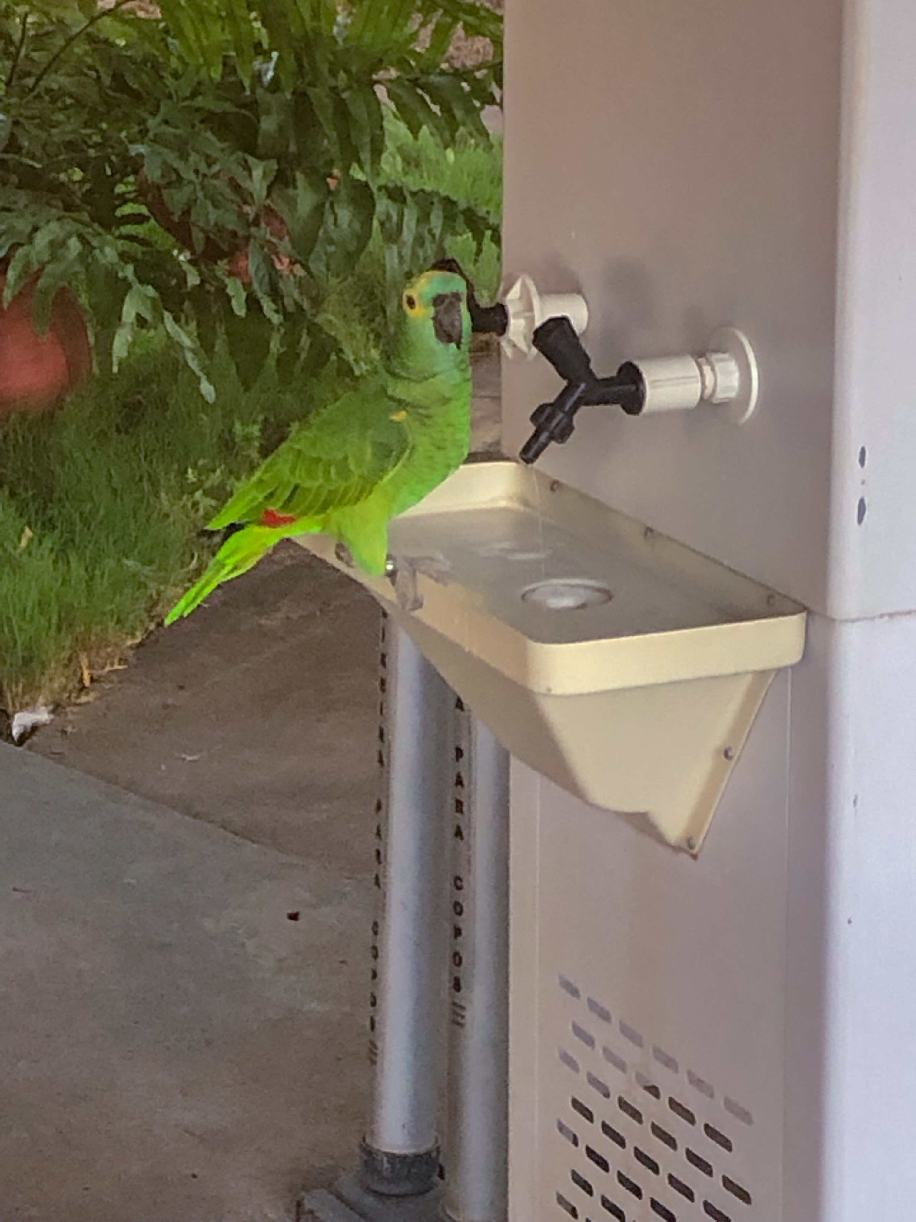 CF736159-2F12-4880-AA4A-E175A9B89A00