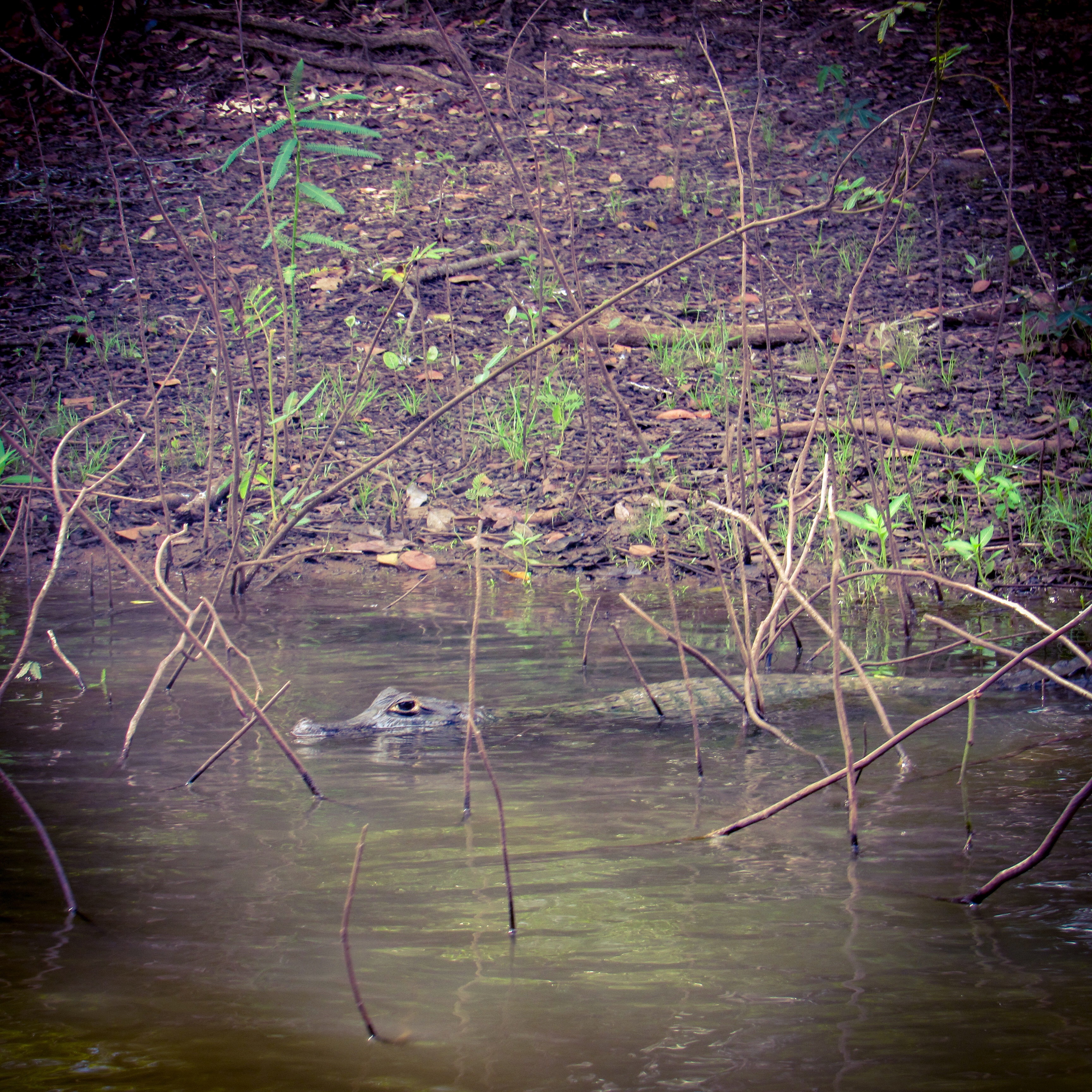 D0D983BA-85B8-4E14-BE5E-672EA4765819