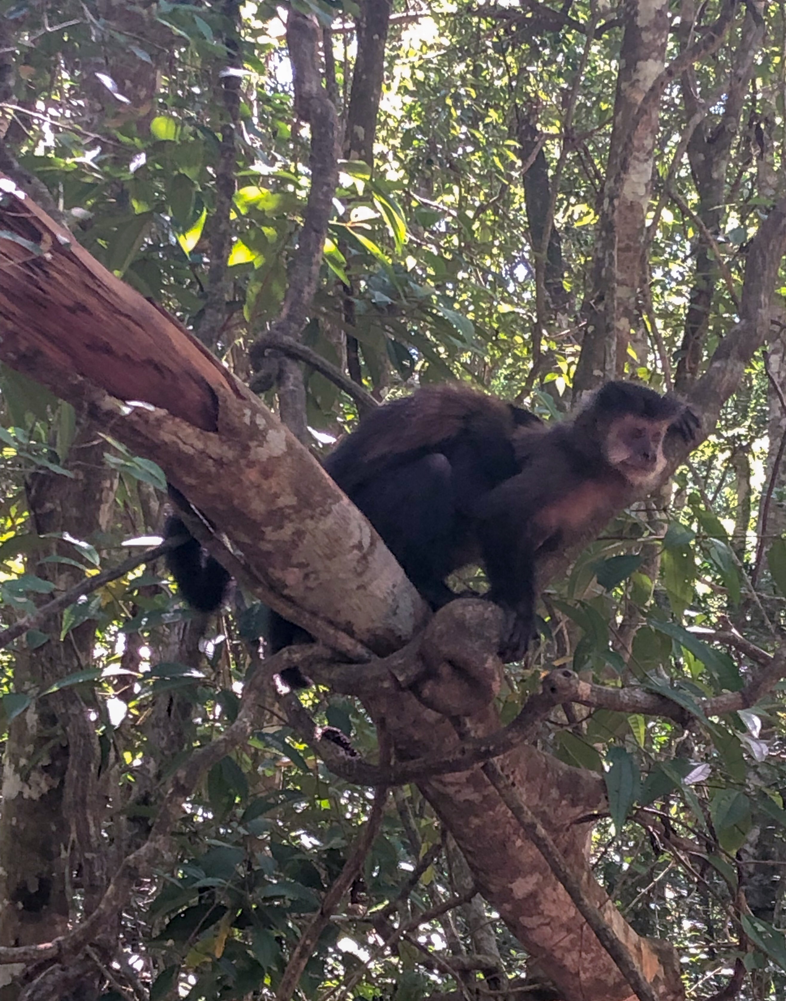 DC5E70CE-A5AD-4F9E-A403-7D2BC7EF896F