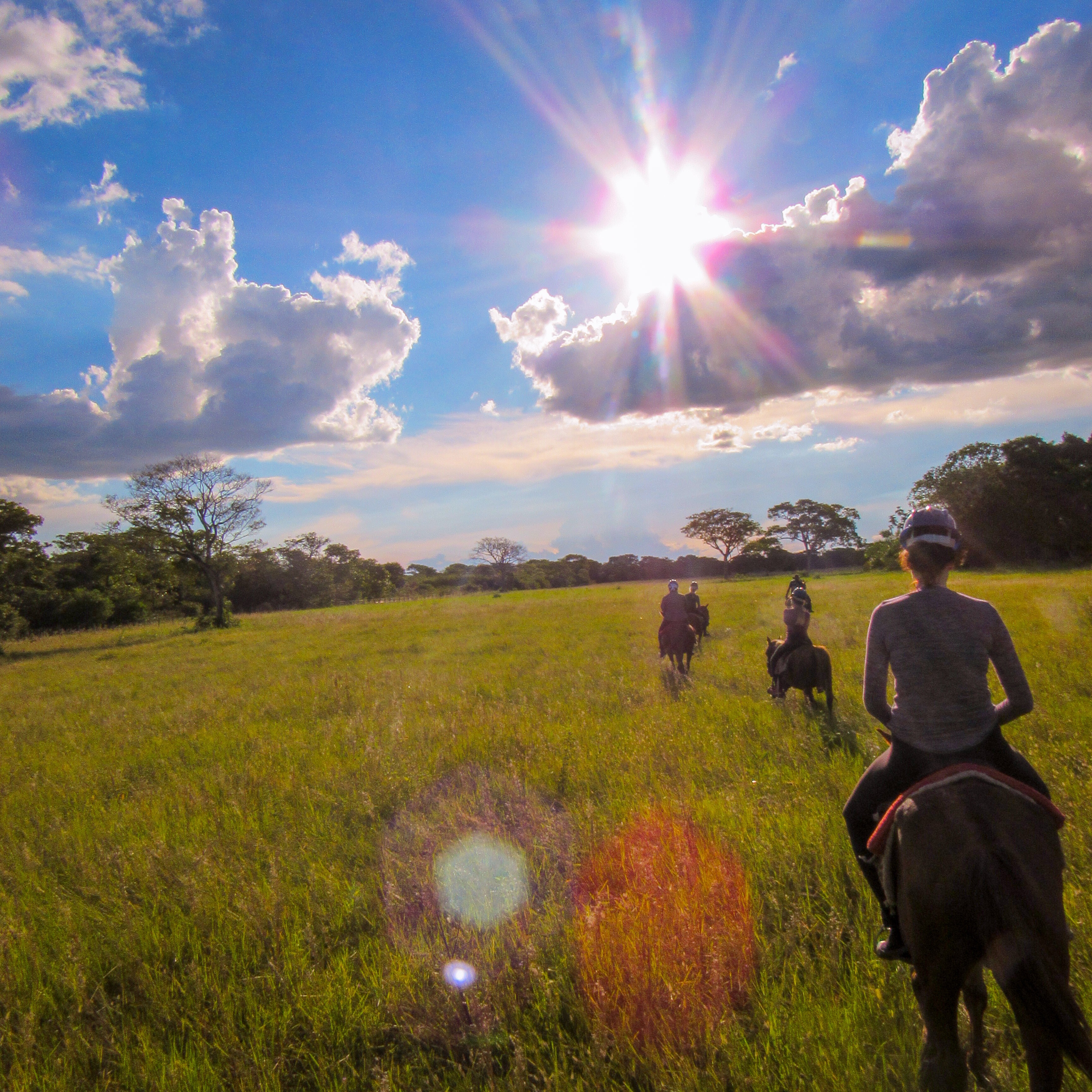 DDA601A5-3B08-4AFC-A107-C7A95FF25A33