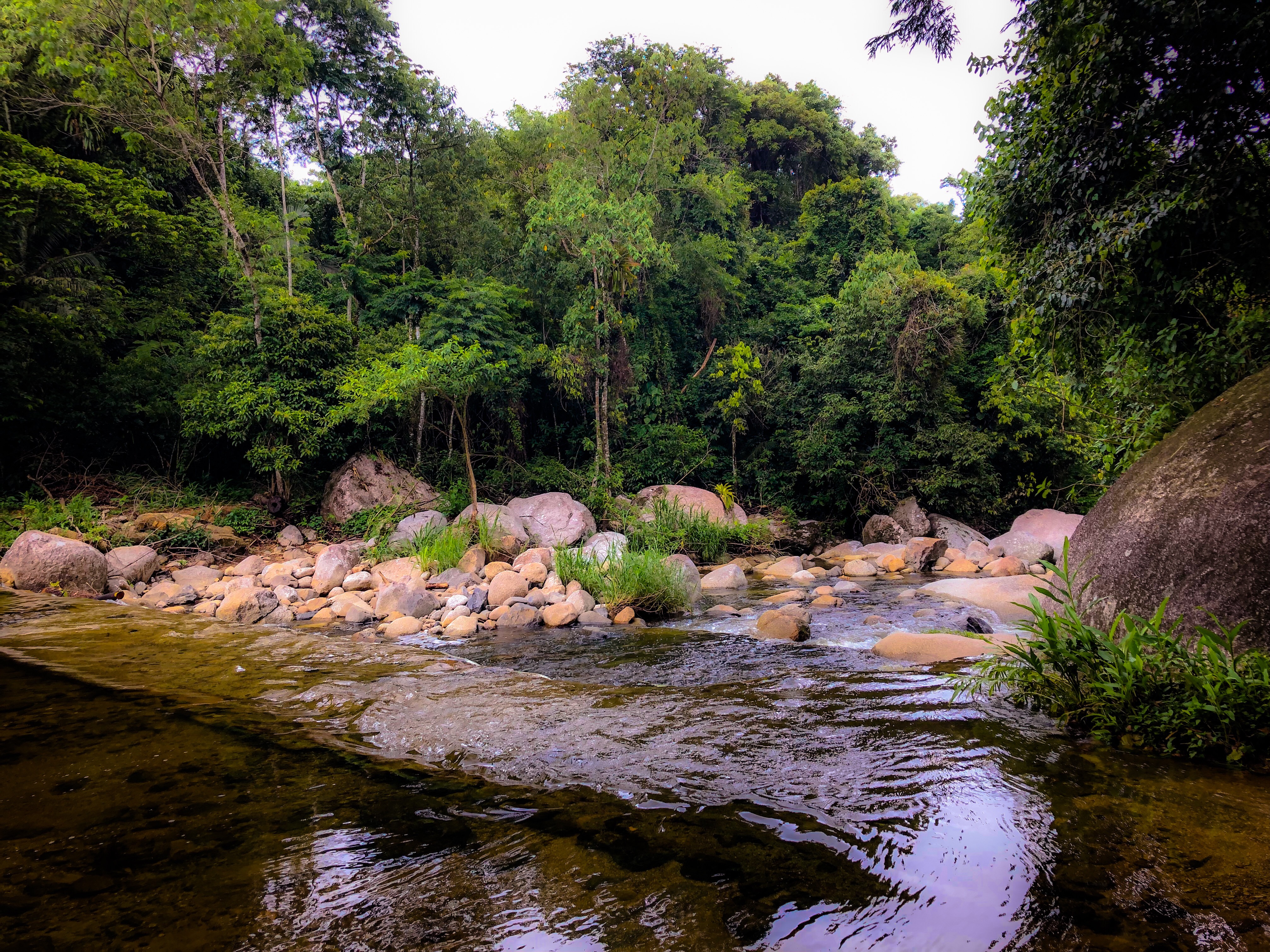 EB7BC70B-59C2-43A1-9163-B6E5120661F8