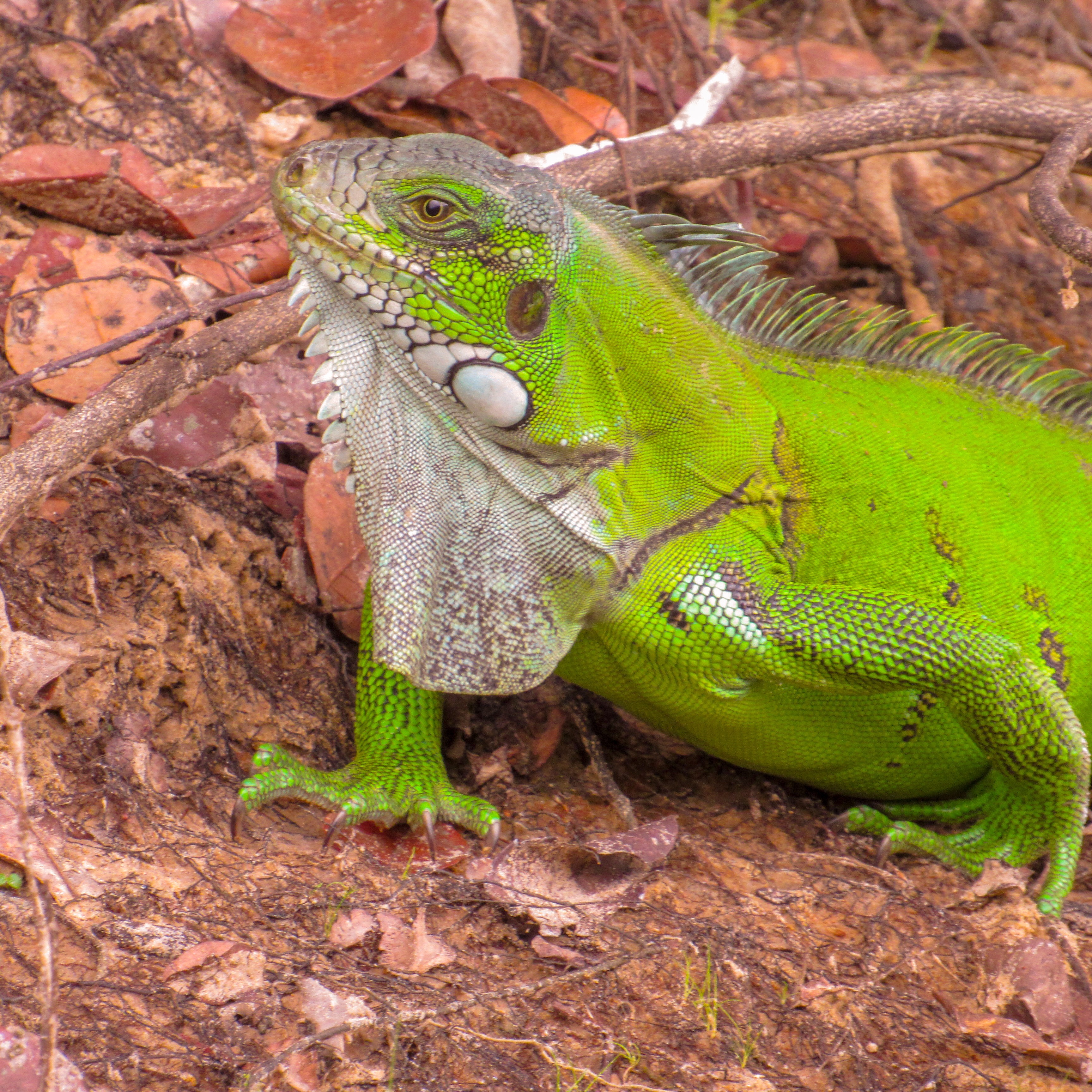 EDBB48EE-CC99-4EB0-9E3E-0D8B0DA873AF