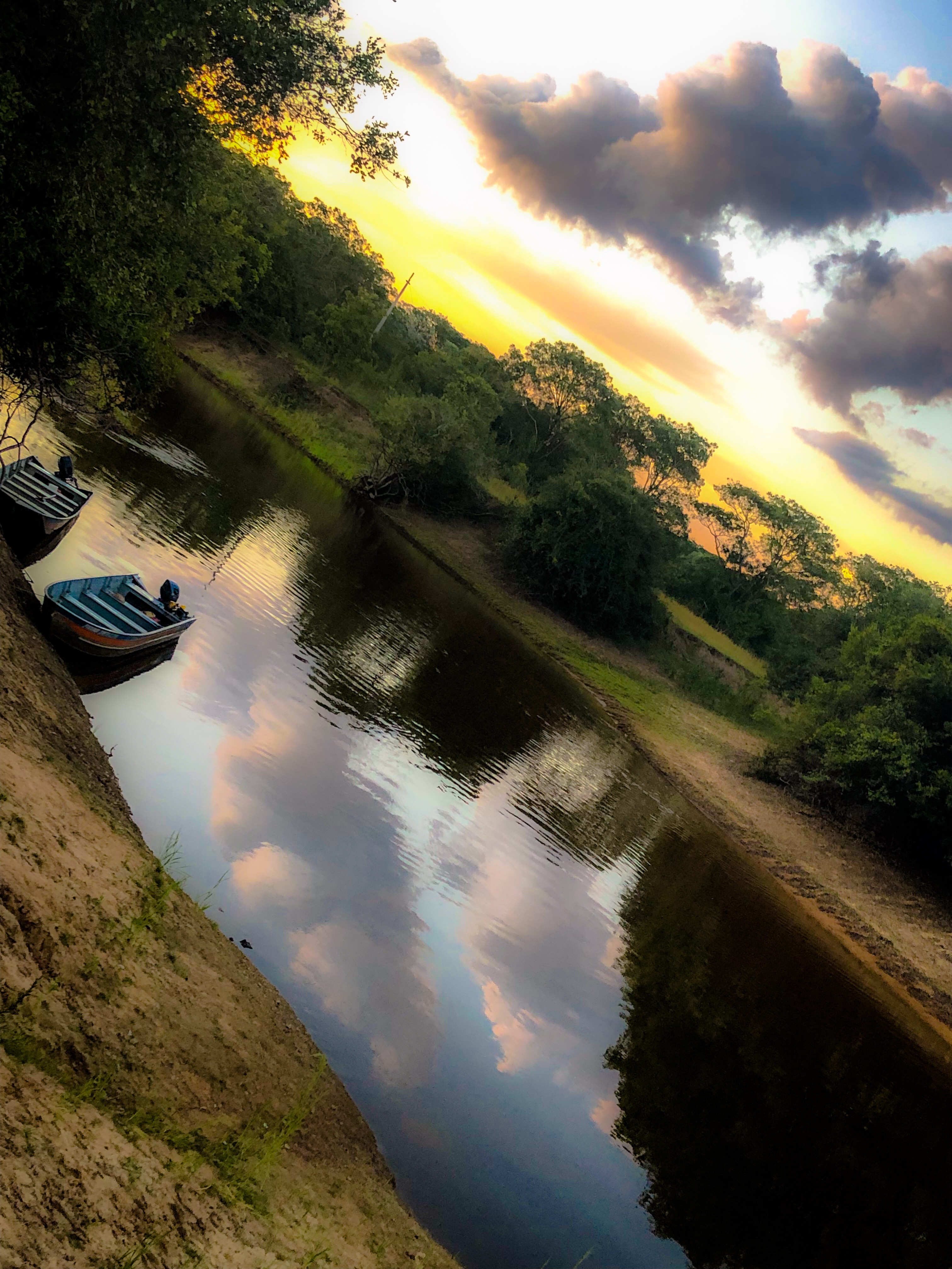 F41F38DE-3A3E-4733-8CC5-9B0C8CCDEC7B