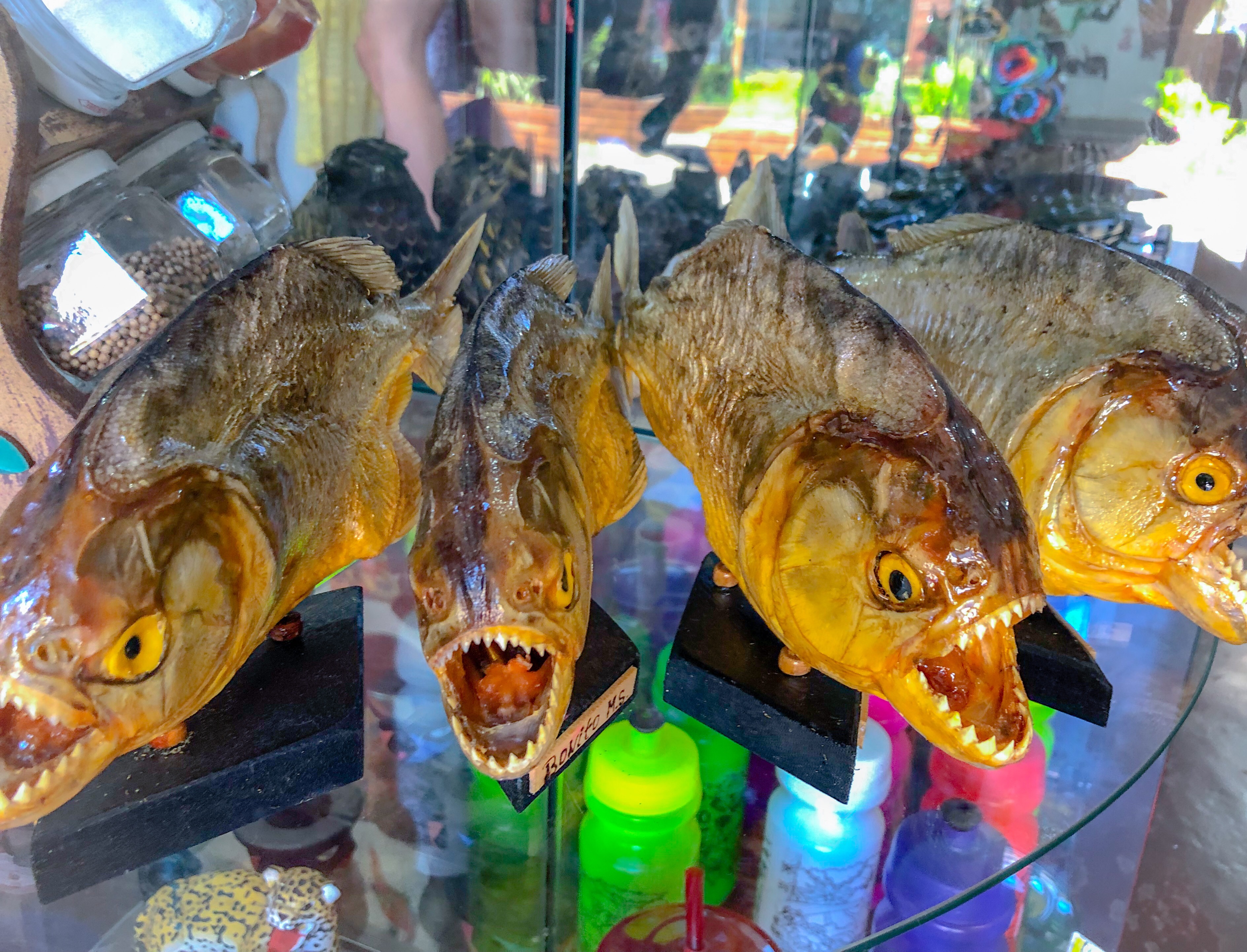 F46345D2-1AD9-43C2-A836-EBC4A13627A8