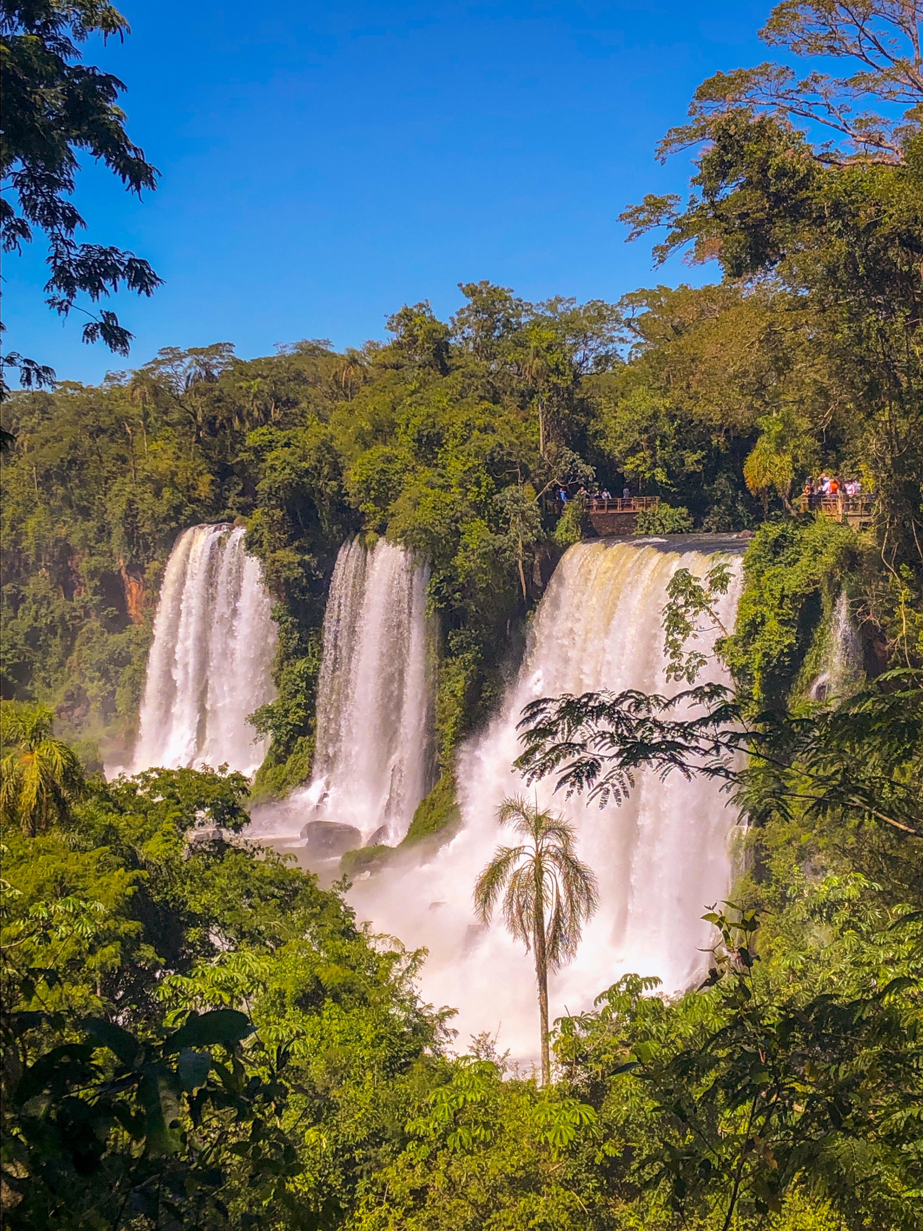 F5989A5E-1FDD-416B-ABCA-0C76DC62CB62