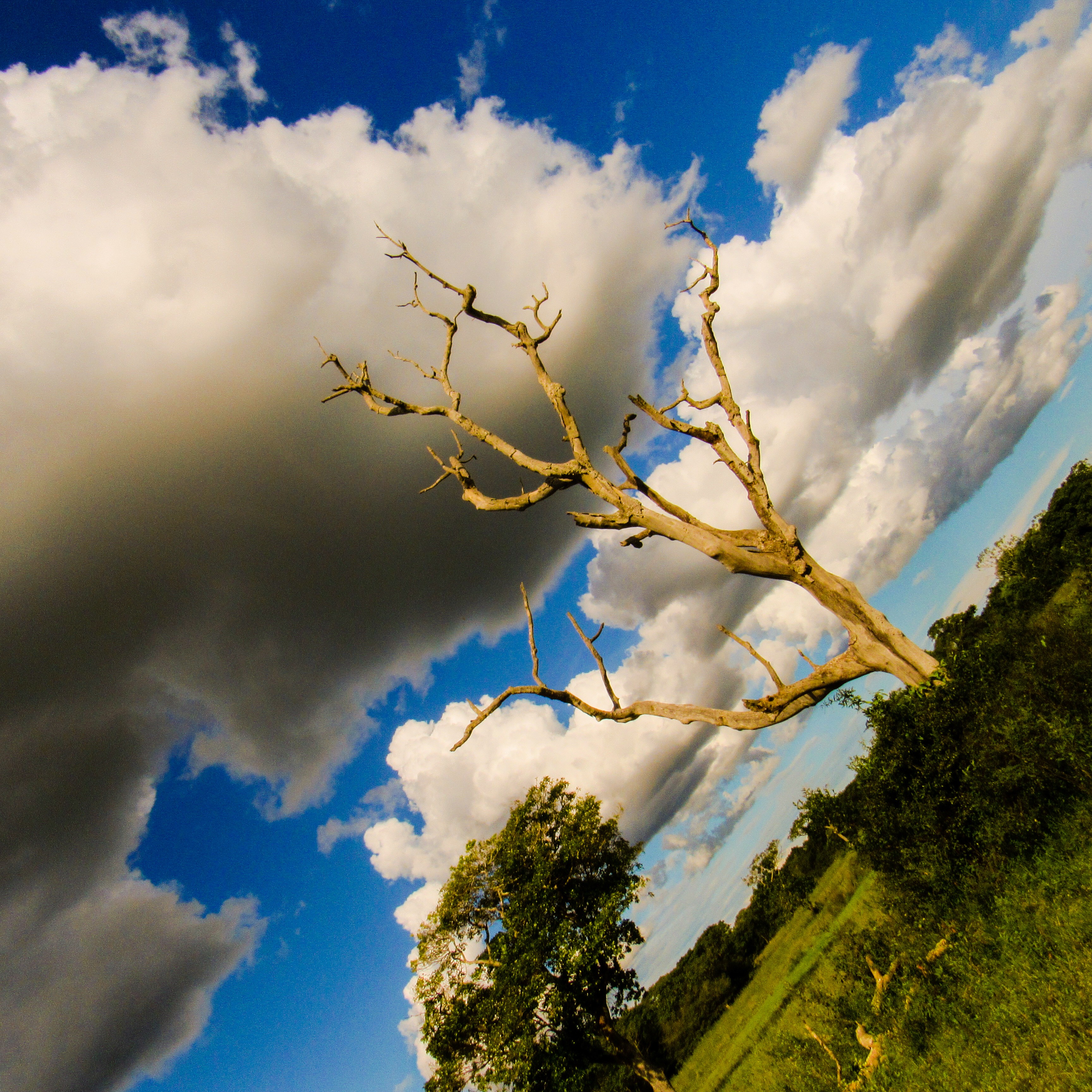 FEE84EEA-5127-4739-A34A-1EAFC849D3B4