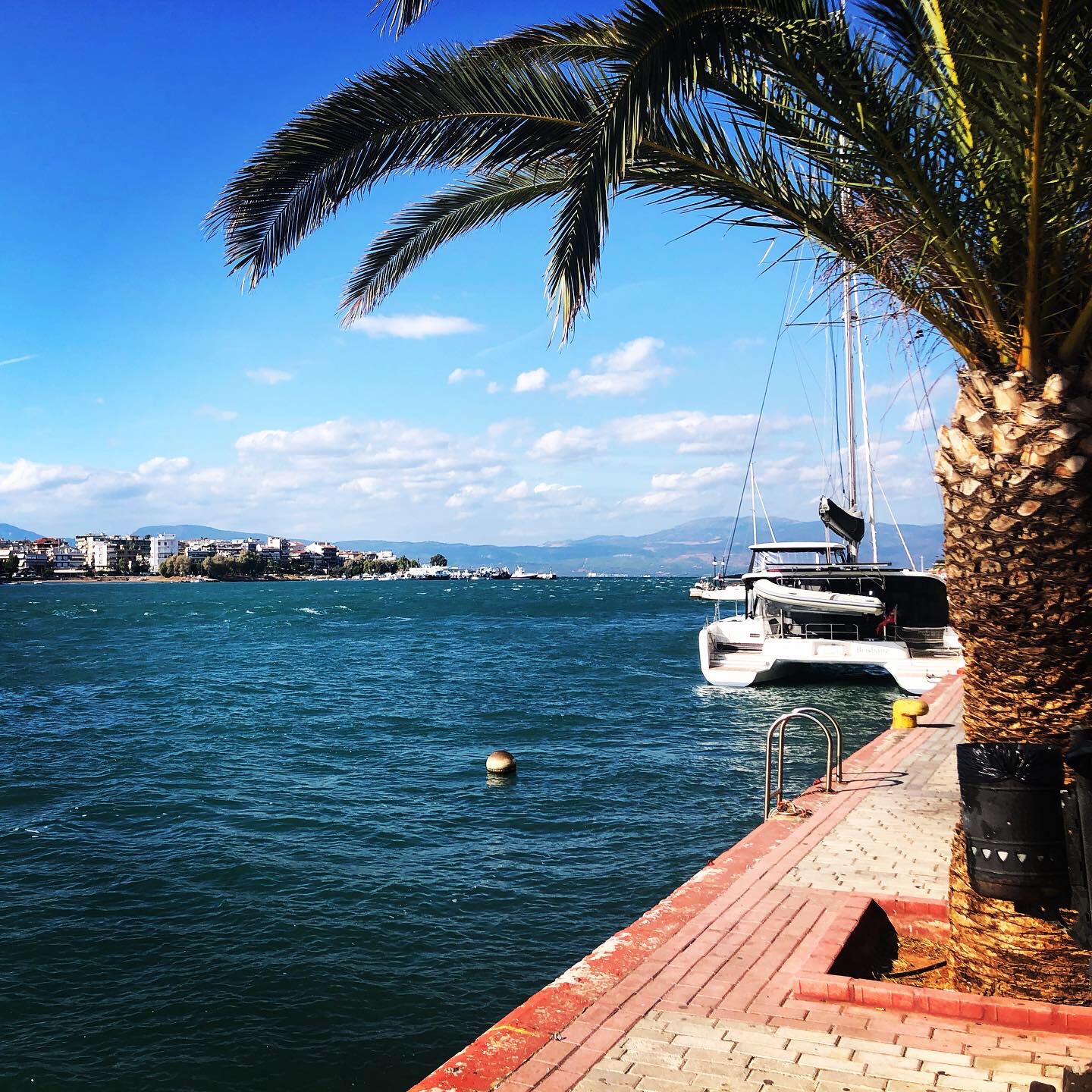 8BF711B8-0E26-409F-AF19-9E2A637F8B1E(2)