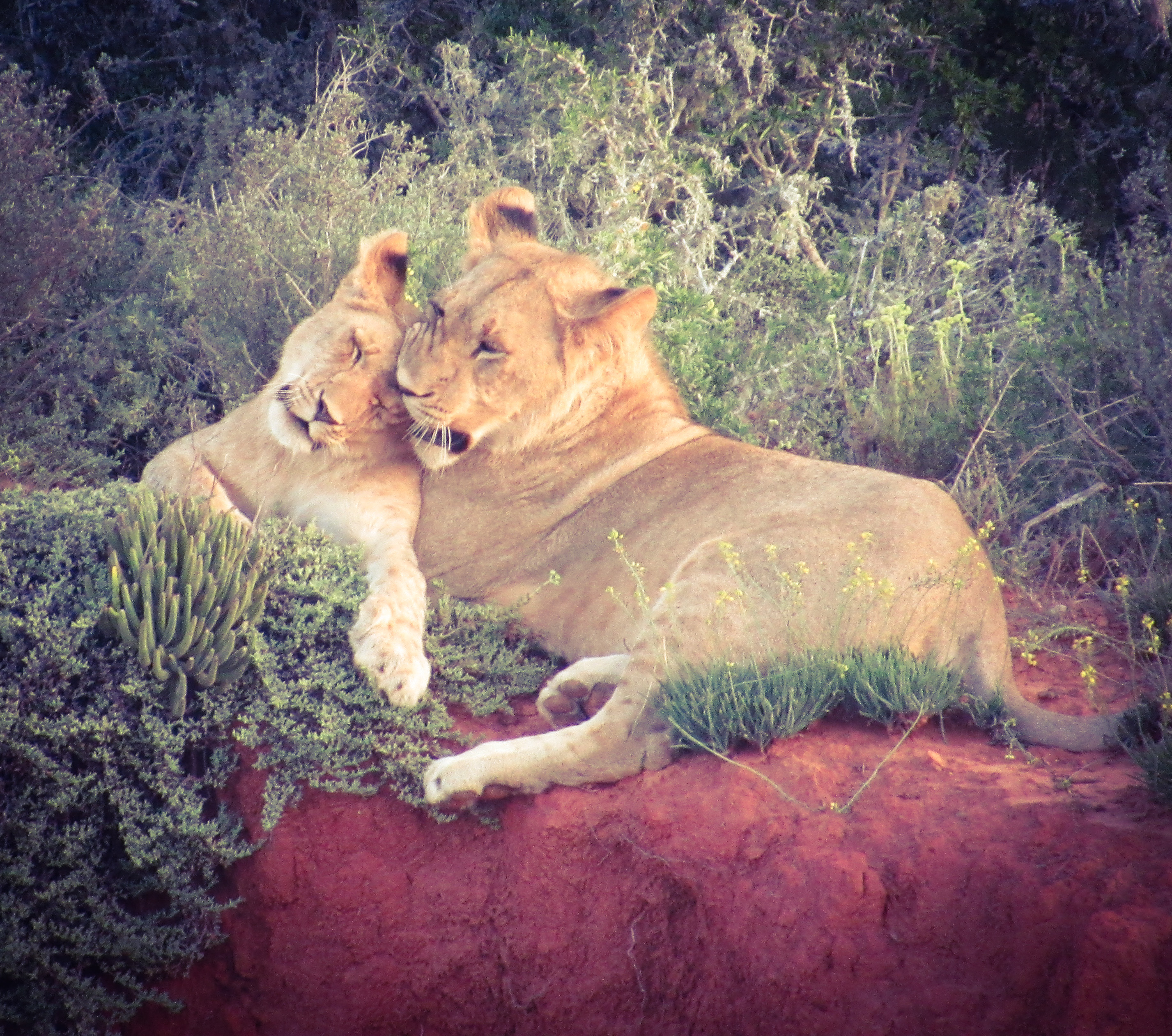 0AEF8950-F9A6-48A1-BC77-A39984078F53