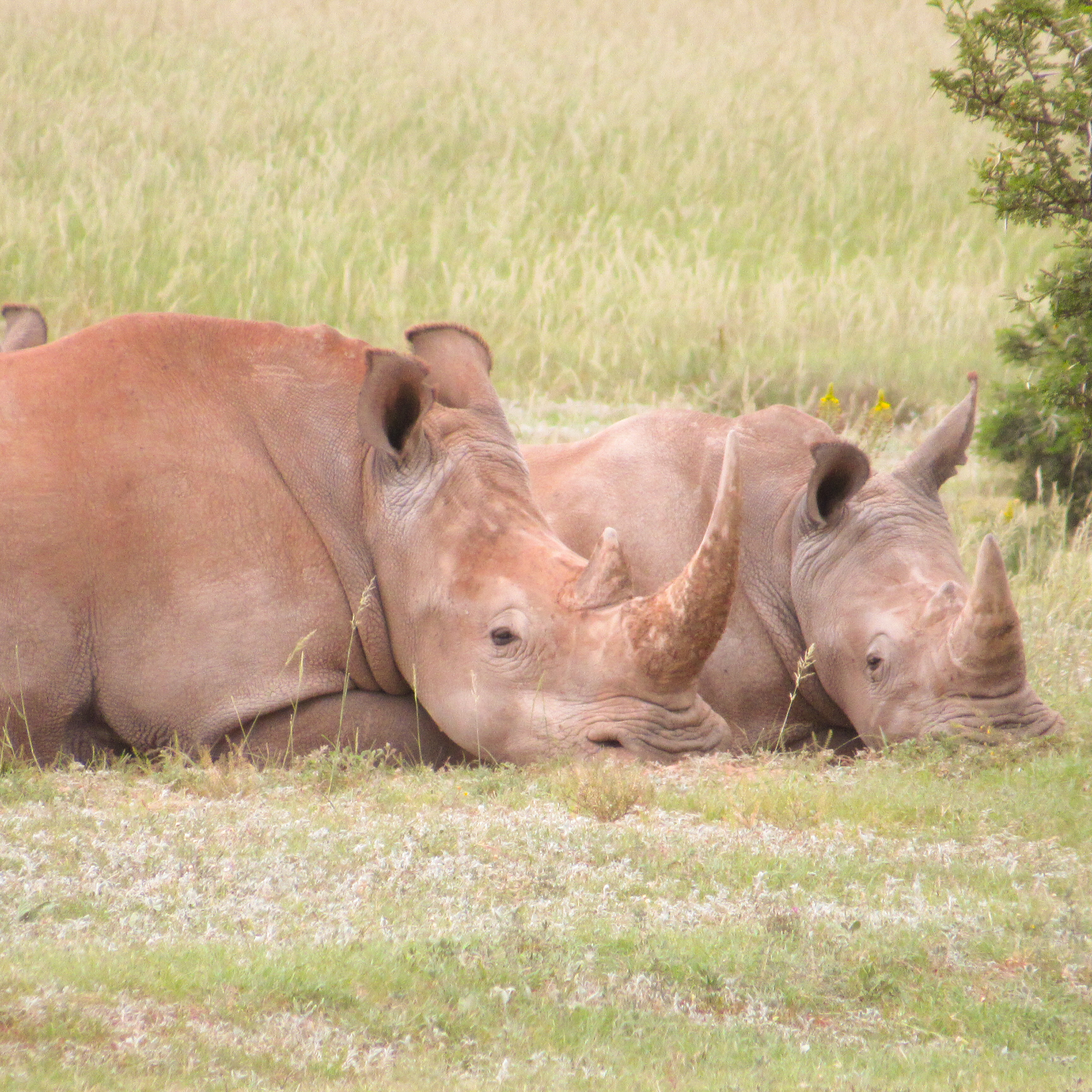 4A1CC350-21A1-4210-B5D2-ED8E85400D59