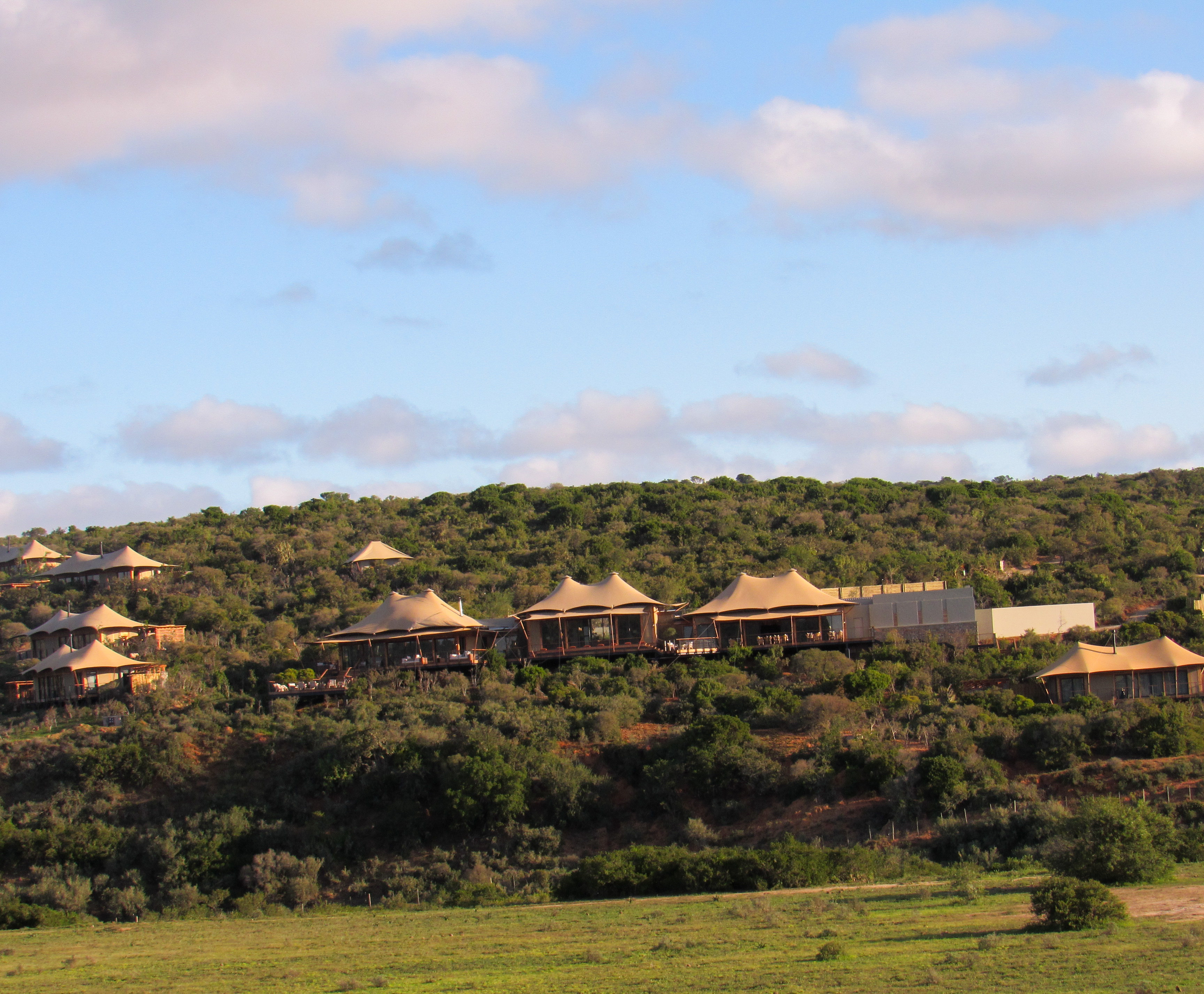 51374EBB-EAAB-4664-A664-206ECF33D2DF