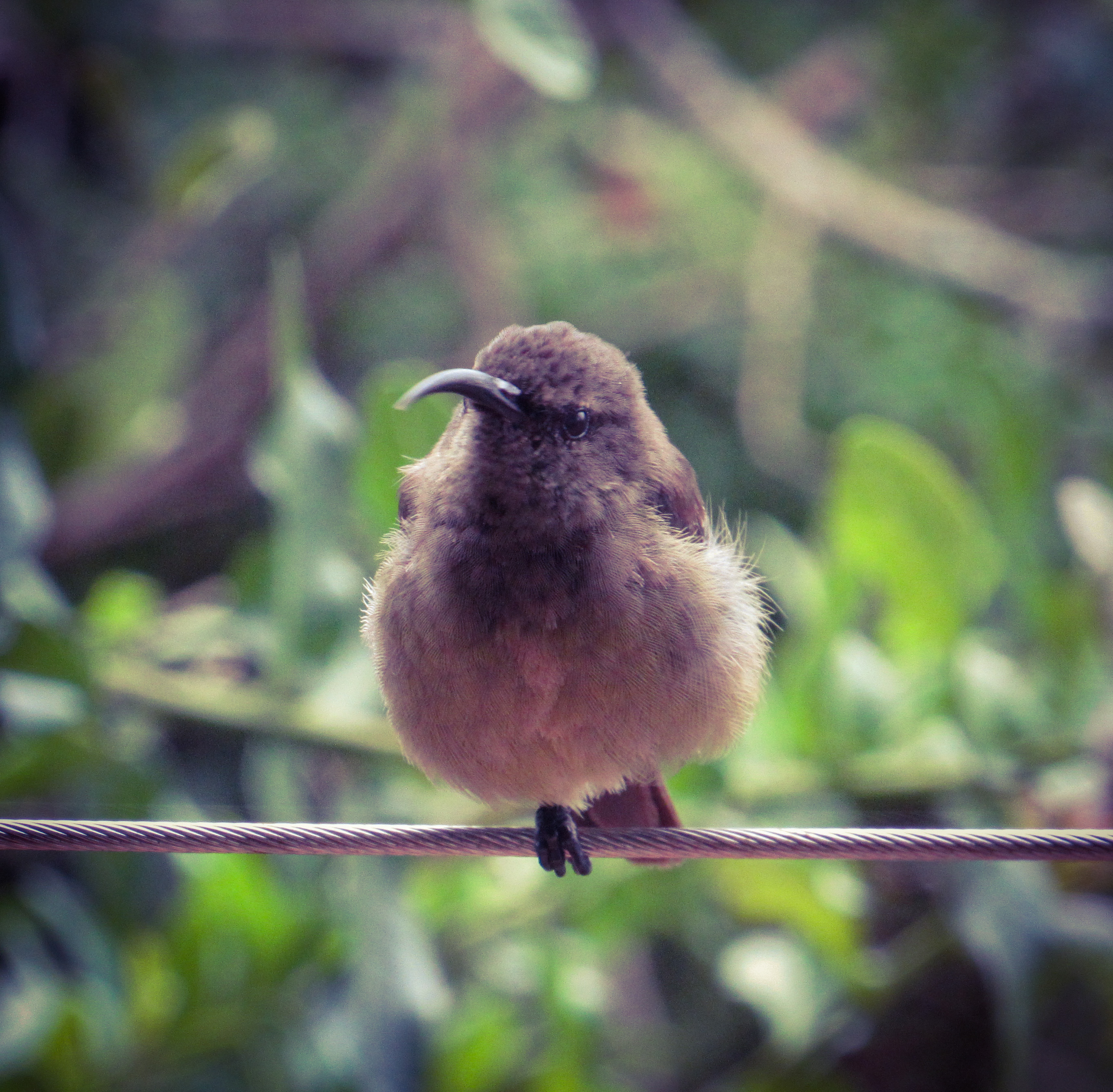 54A6BDC9-A1F4-4C38-B58B-9F6B3F7A39B0