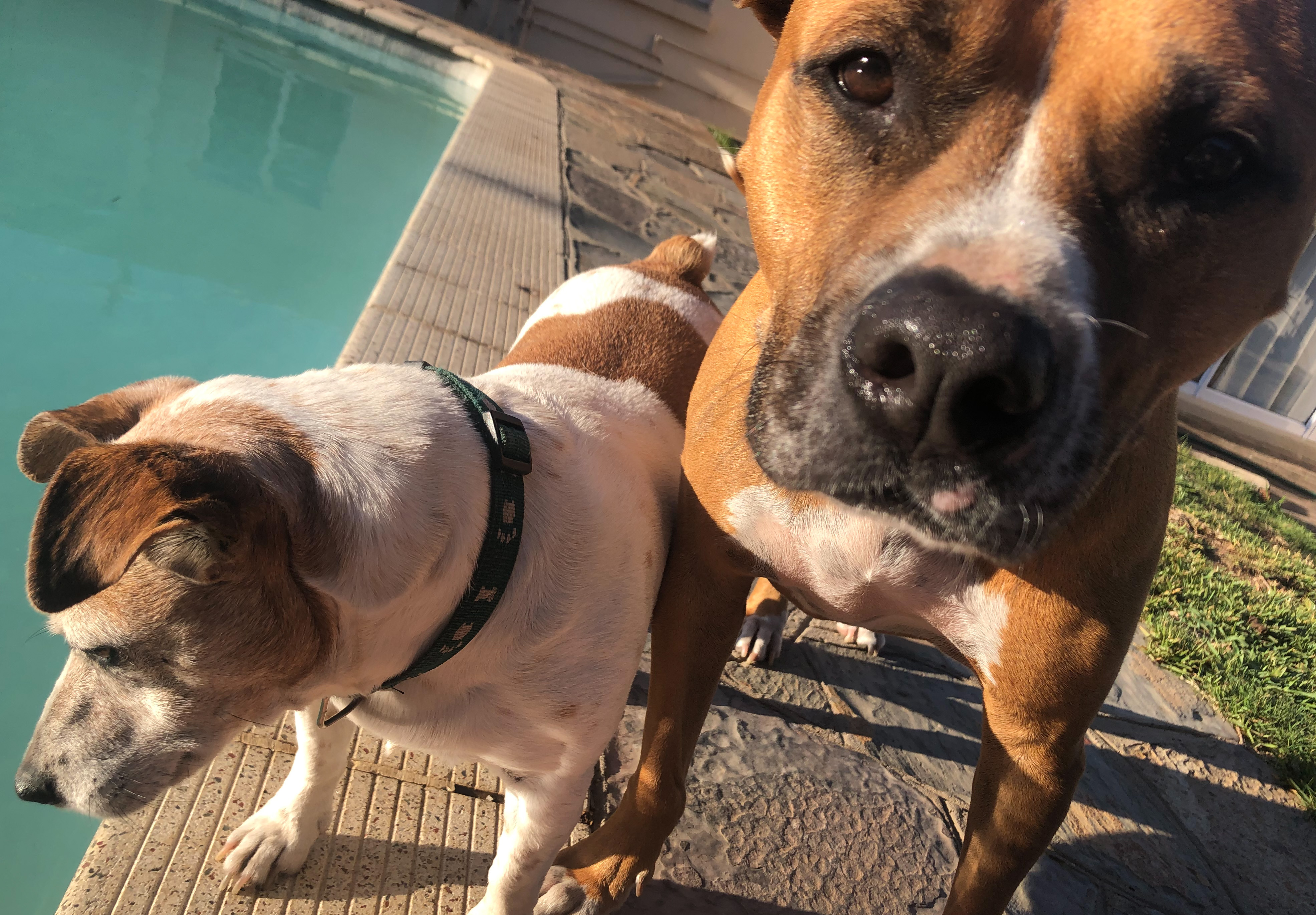 581A822F-F579-43F8-B51D-5732740DF492