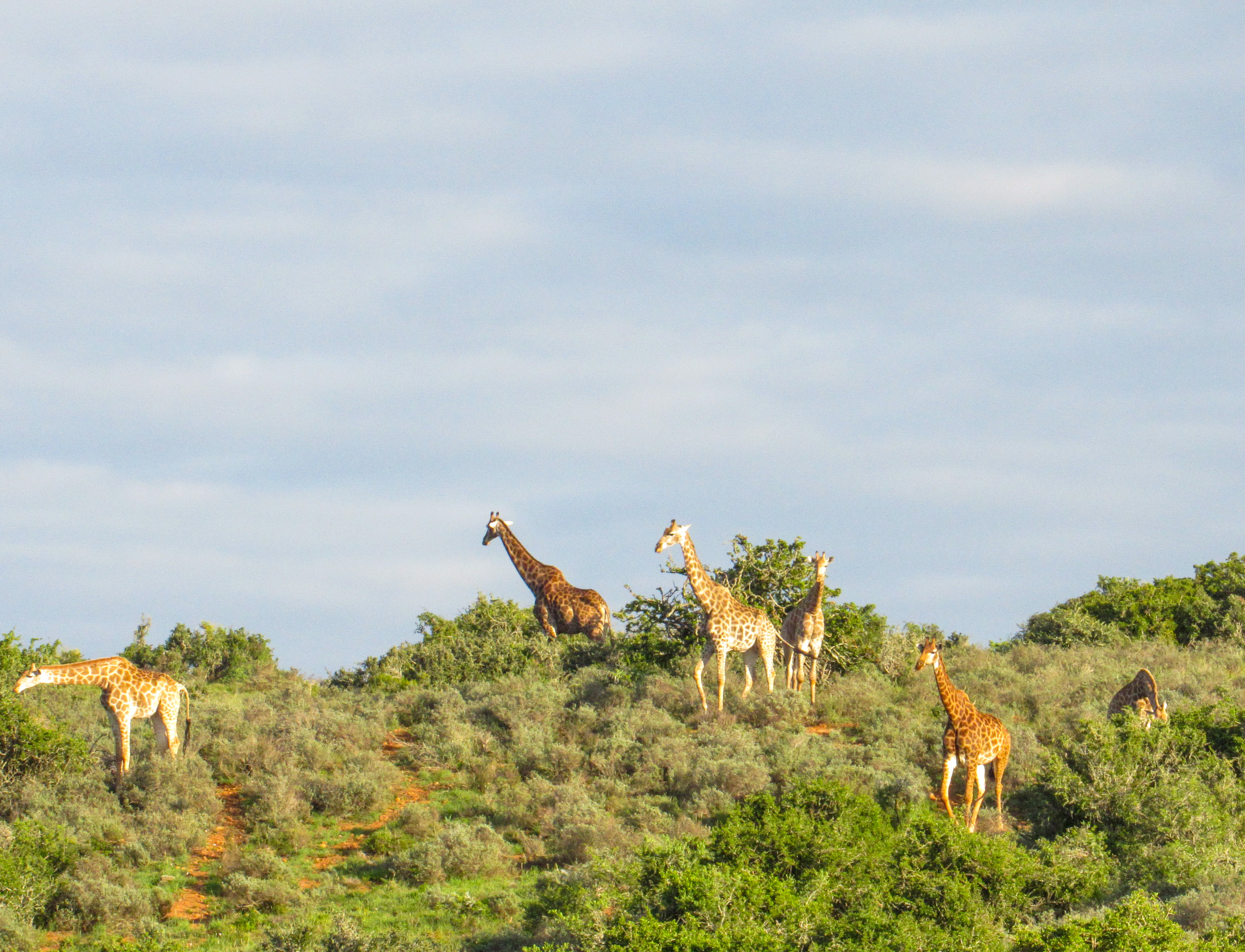 63CF03C3-190D-4B3B-B145-AD88F434E59F (1)