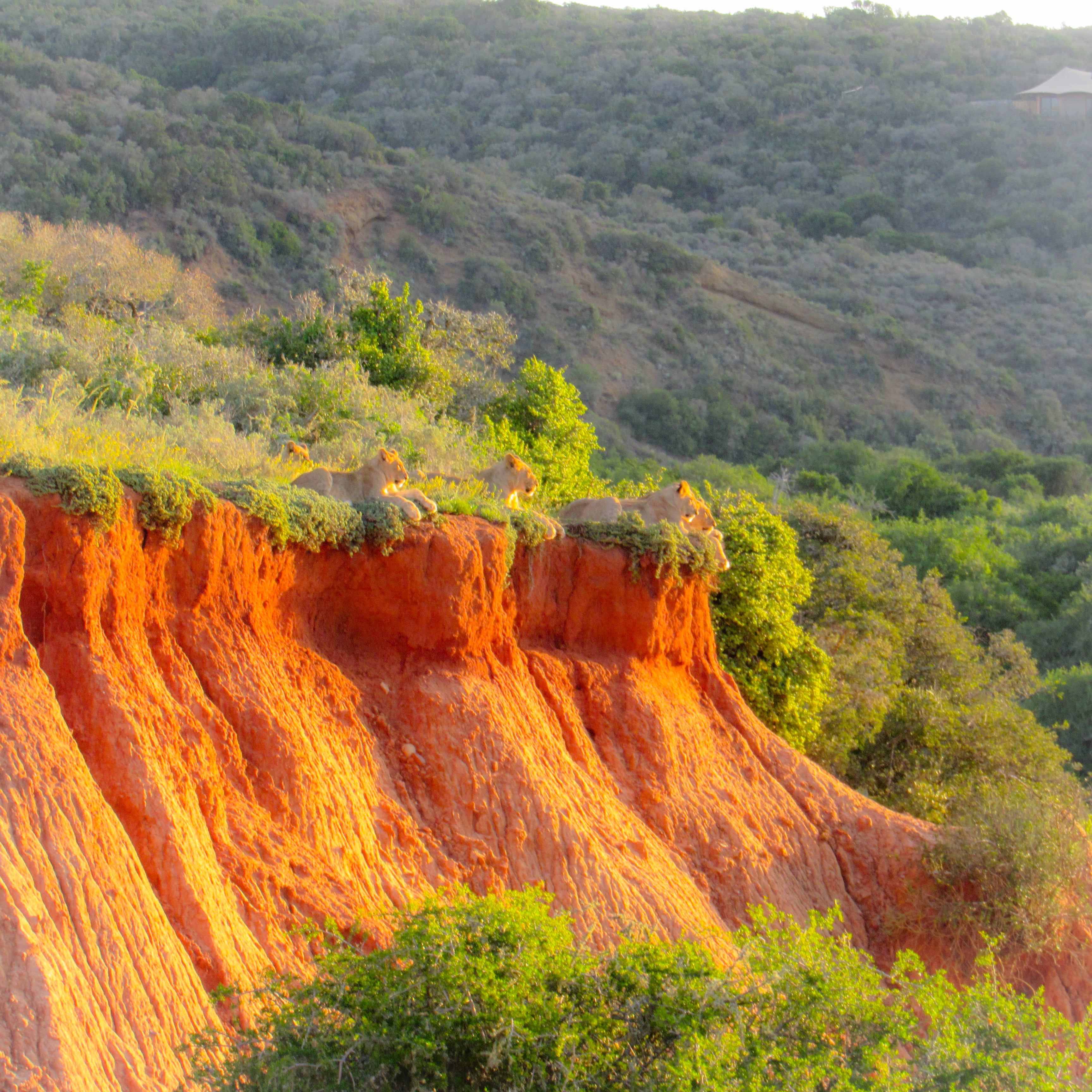 76DCD6CE-ED2A-47E7-8049-2B7253AB08EA