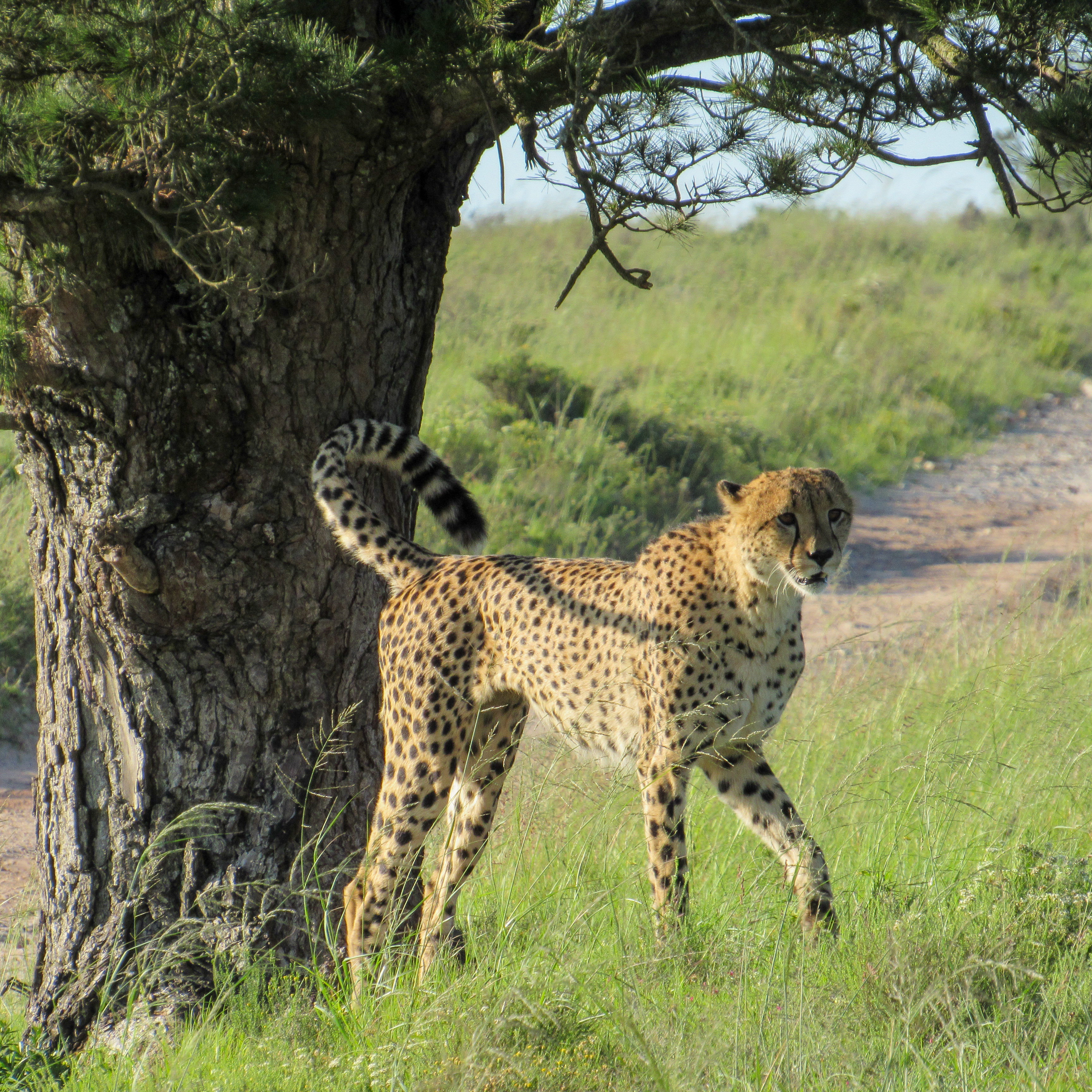 A22AE575-D638-4242-9D66-34603125D245