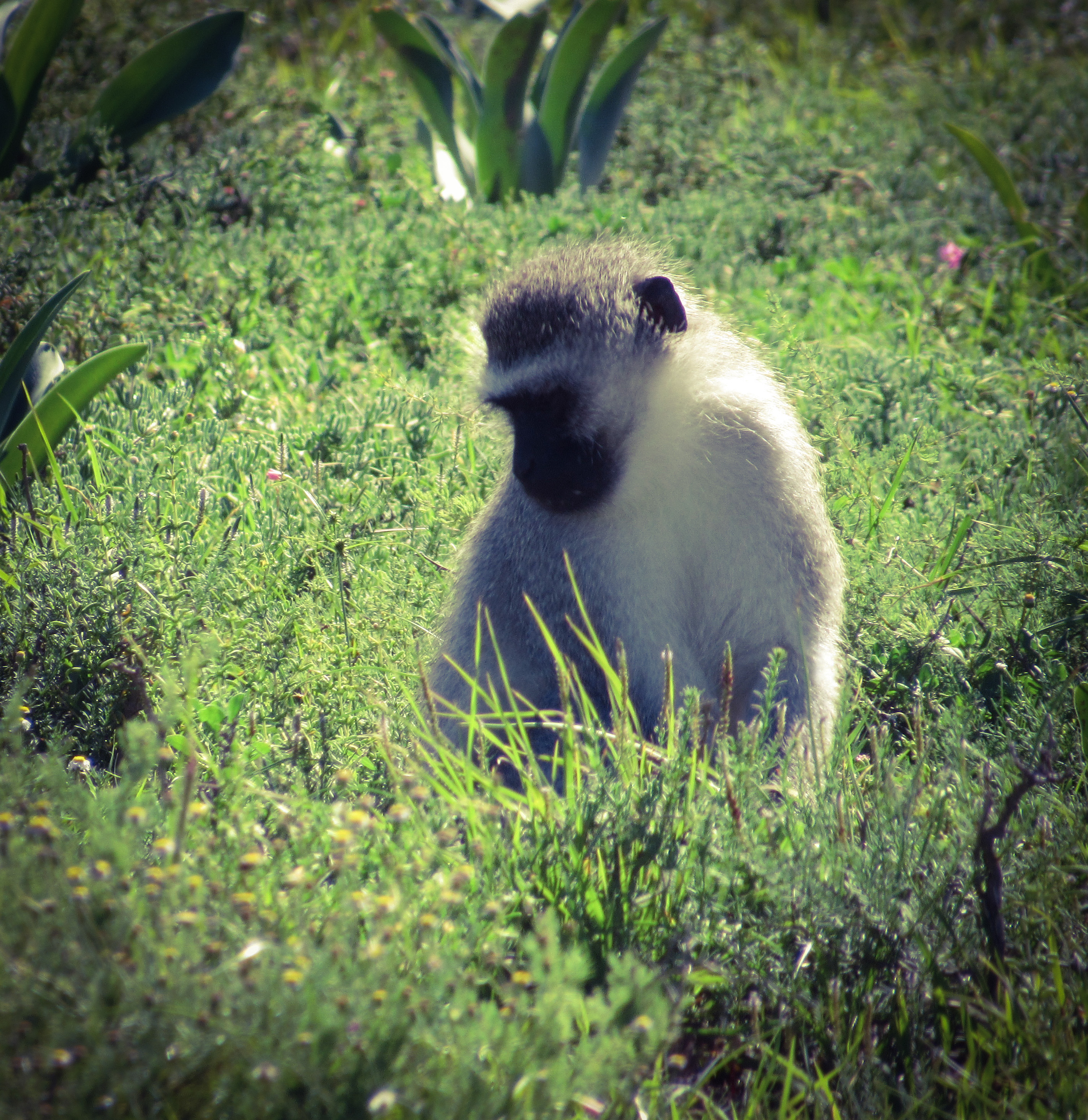 C4CD0790-27E1-4784-9BAD-6B98F2C8F58A