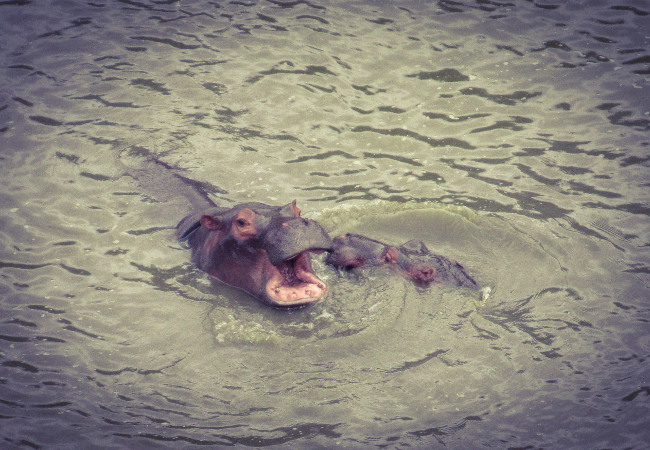 CA541D4E-5DB2-4763-9EBF-1843D844CE34