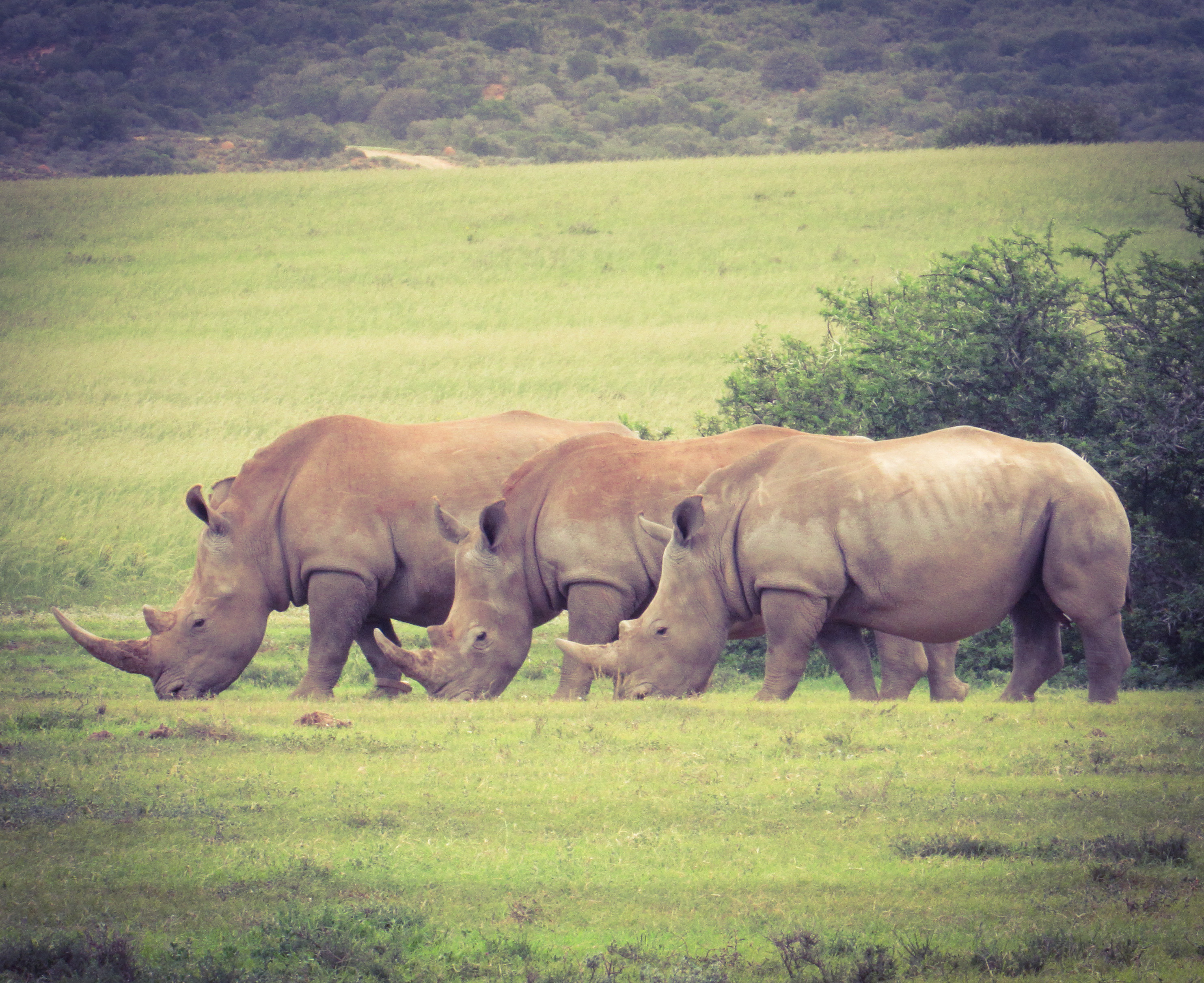 E4FE7E16-4D1C-4541-98B3-9230D7AF7426