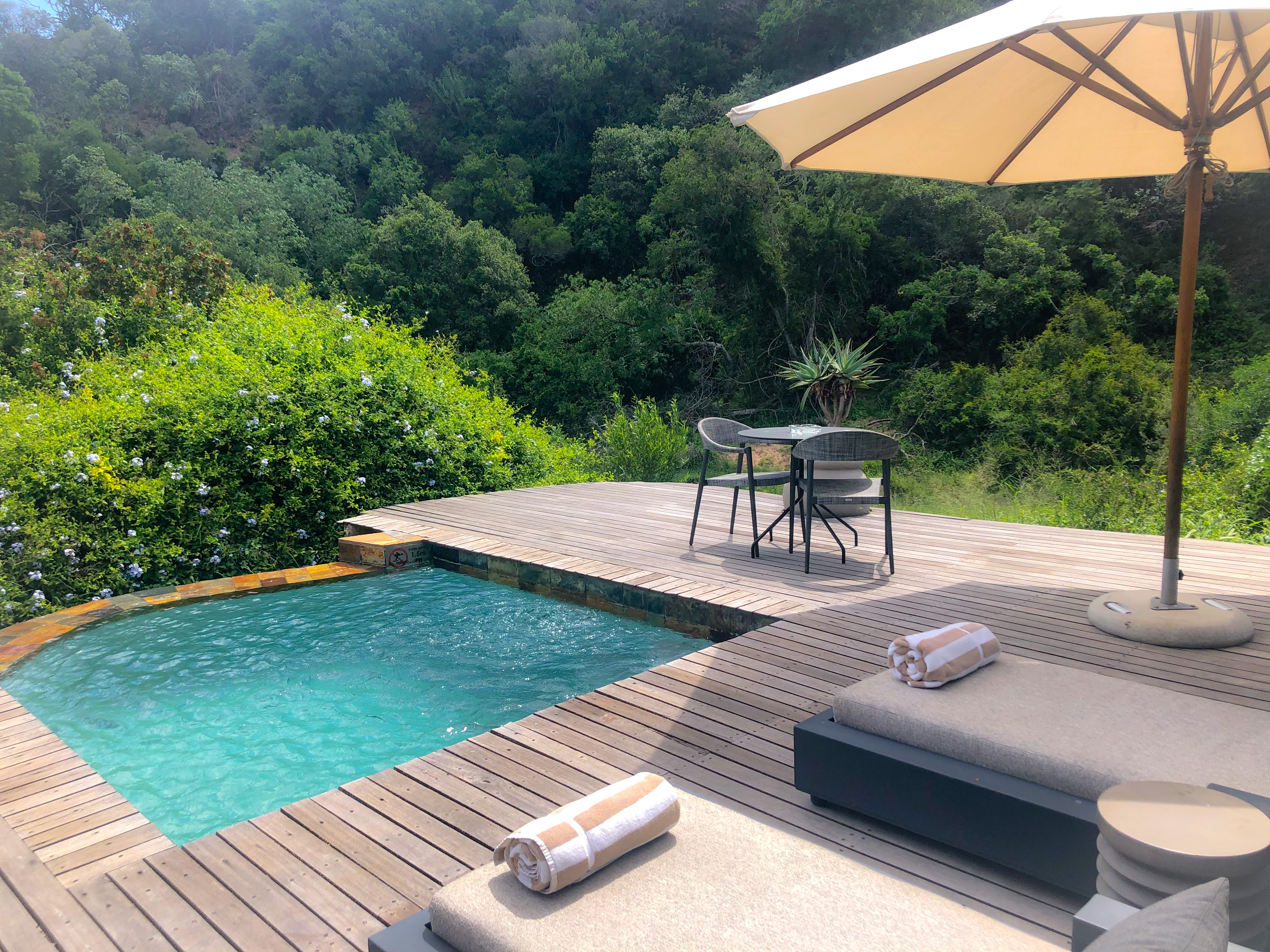 F6CA1BB4-AEF1-475D-B3F8-4014A7E29FA5 (1)