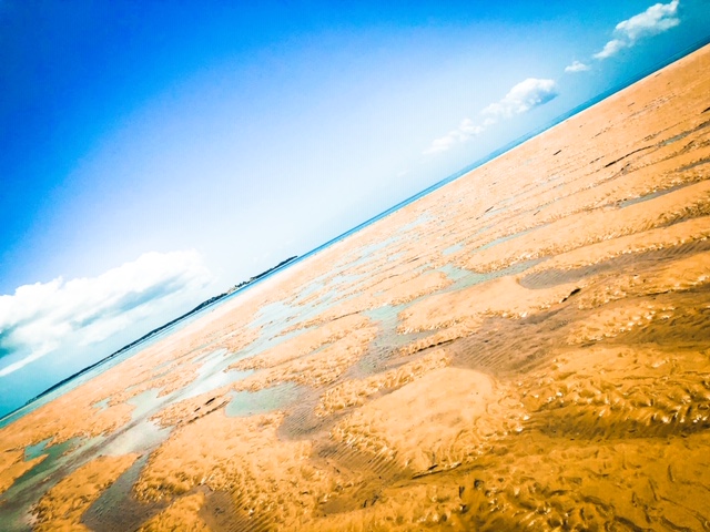 0DC3AEED-49AD-4A43-9E10-38445B9EFC8A