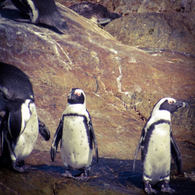 1FB8EAAB-7D01-499C-82C7-9E80AEC0B0EC