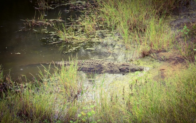 2A99D122-7D88-4EC1-A4AD-EE2F028FC47E (1)