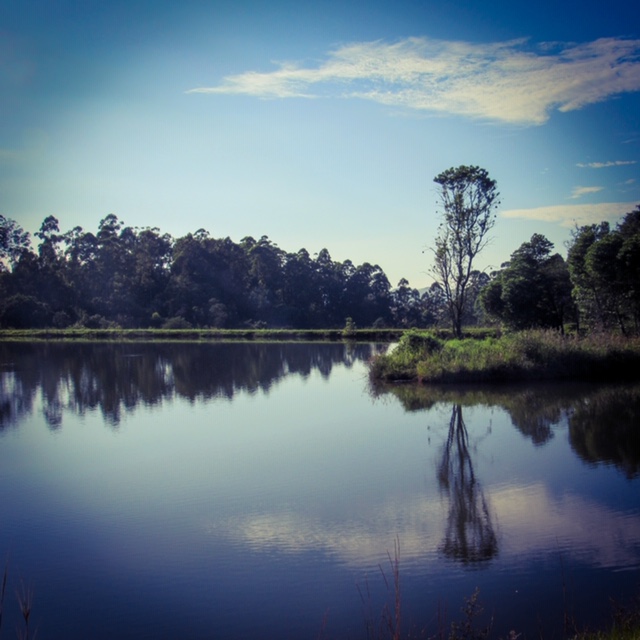 37763681-59C4-4F5B-B11F-57426630267A