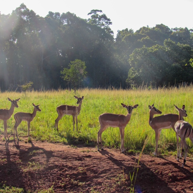 3EAB8AF4-8280-48DA-9D1C-44A6CCA5B471