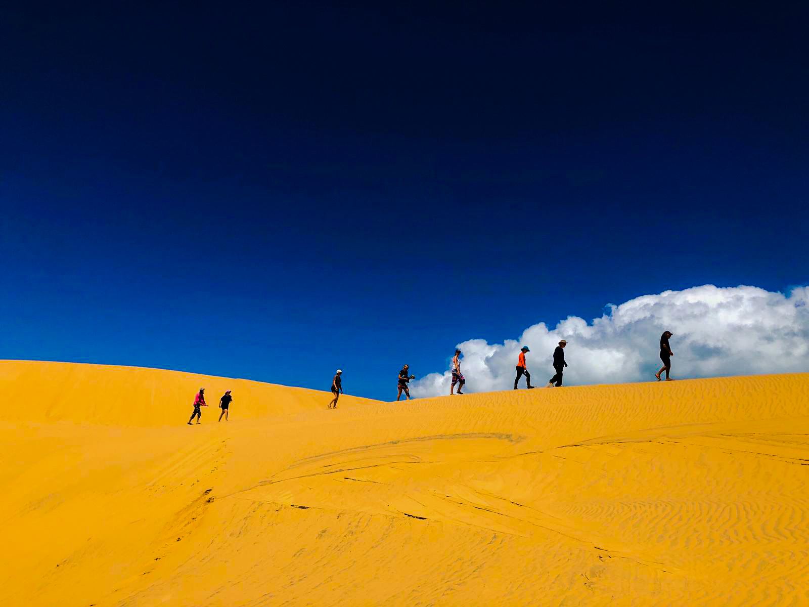 48E78509-6E12-48C6-8754-D24C2B42C05E (1)