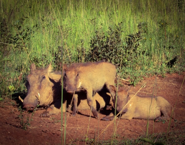 4D9380E6-9276-4D80-A664-7D580C76E9D8