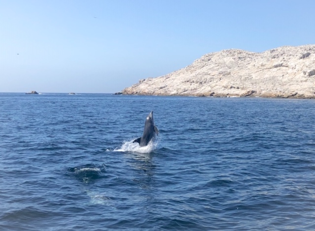 511BA998-2F3C-4EF7-BA21-95D16CF15247 (1)