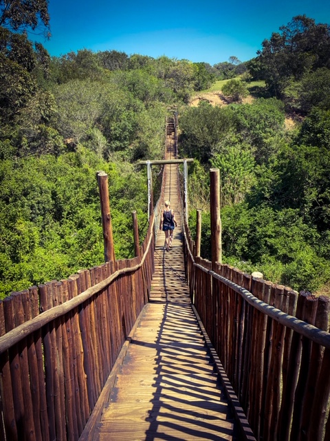 51A26840-4340-44C9-9A3D-3B7FAB468C89