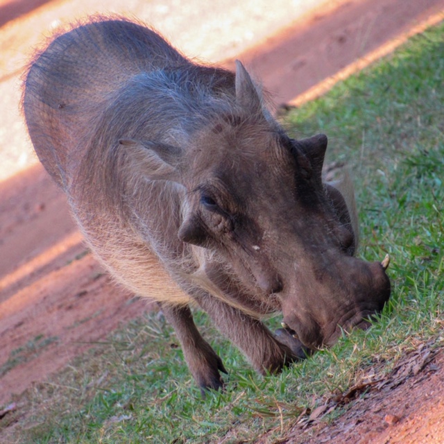 5D694A63-B984-48D8-9BC6-16714F1095CB