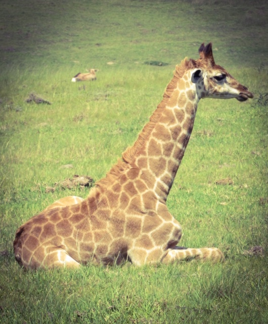 6961A1FA-5EA1-4E61-BCD1-BBCB49634820